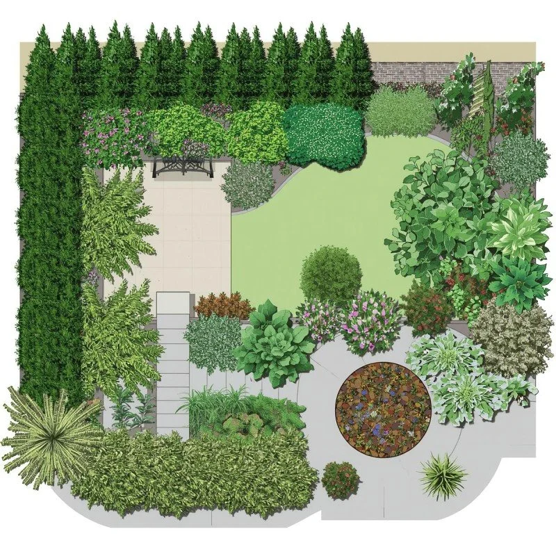 Evergreen Screening Ideas: Create Privacy and Beauty in Your Backyard