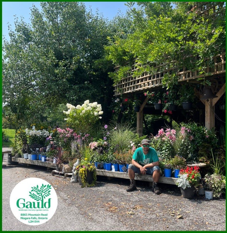 Trees and Shrubs Niagara - seasonal advice.jpg