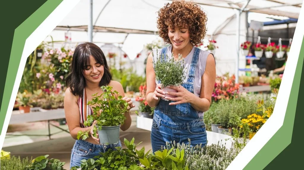 The Smart Way to Buy Plants in Spring: How Niagara Gardeners Can Avoid Costly Mistakes