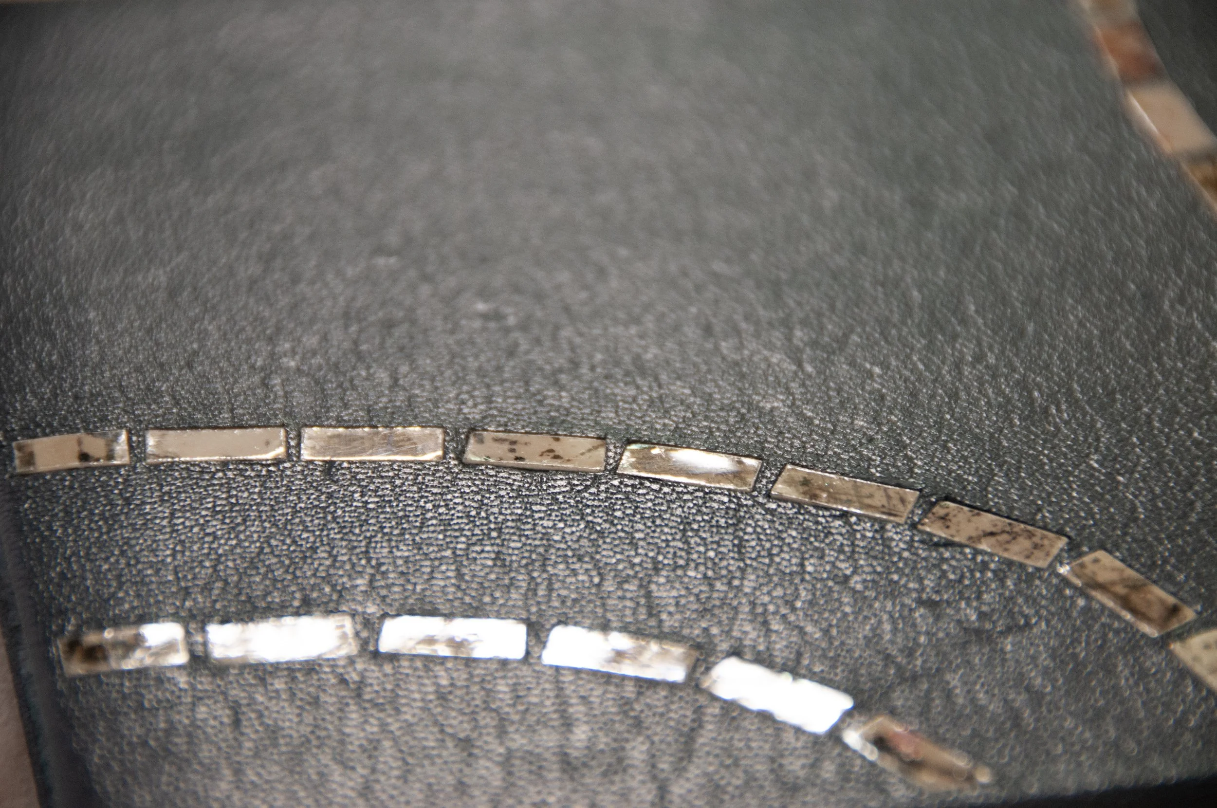 Mayflies7.jpg