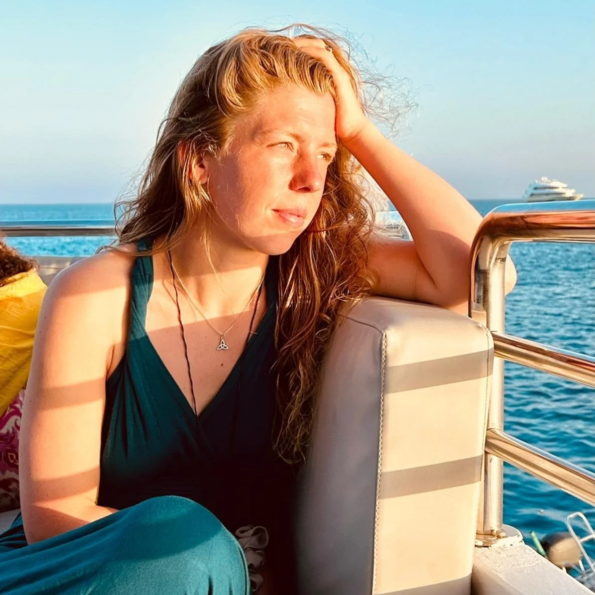 Review zwemmen dolfijnen rode zee 5.JPG