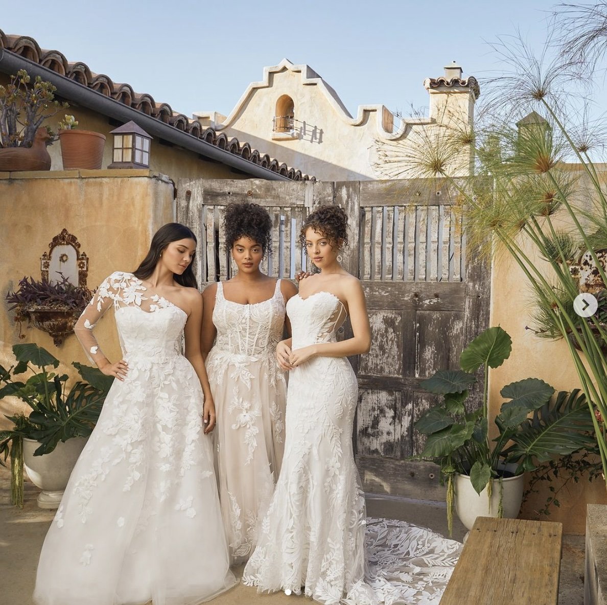 Screenshot 2024-07-15 at 6.31.26 PM.jpg