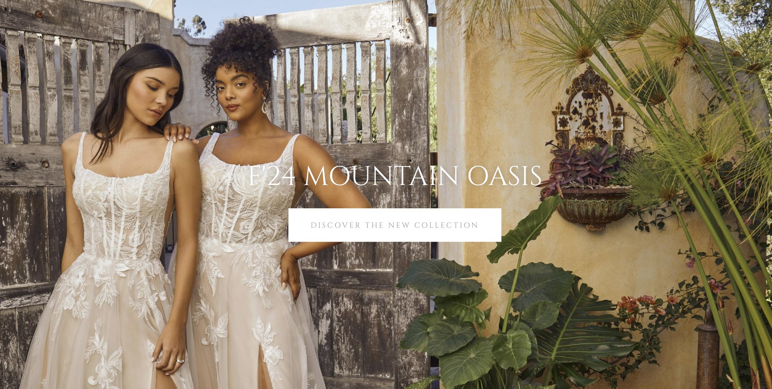 Screenshot 2024-07-15 at 6.29.28 PM.jpg