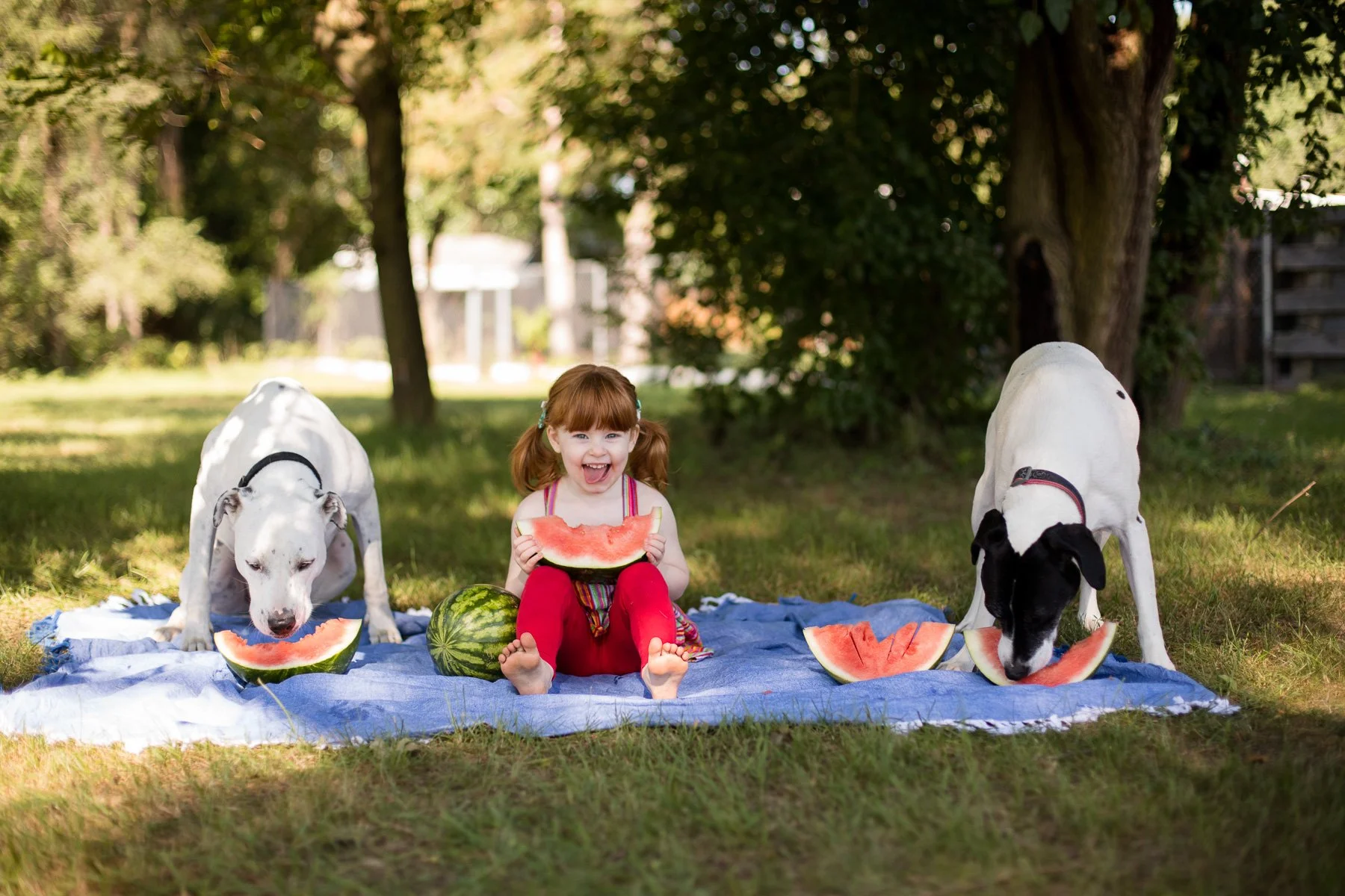 Buddies Pet Photography534A1359web.jpg