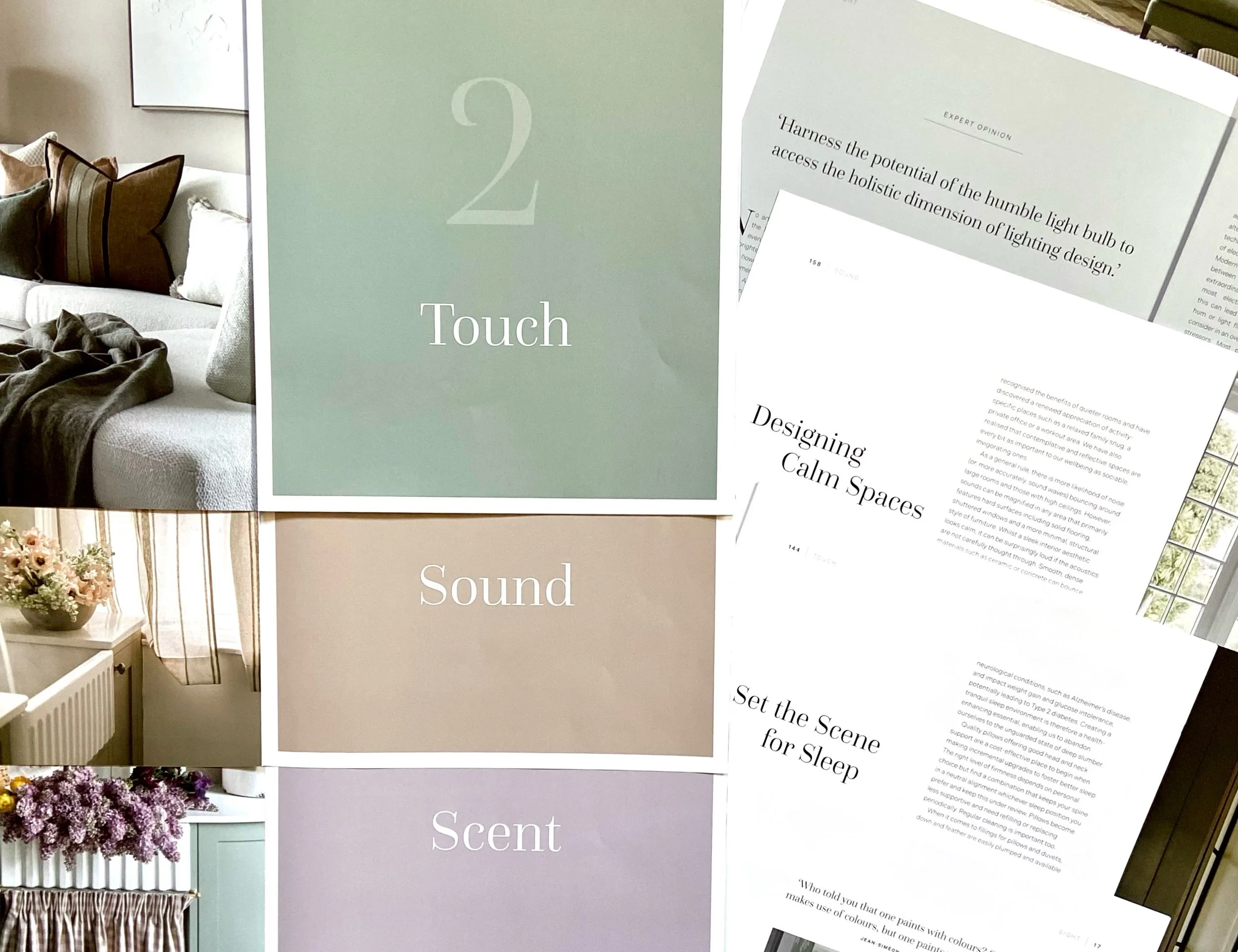 Sanctuary by Design content insights.JPG