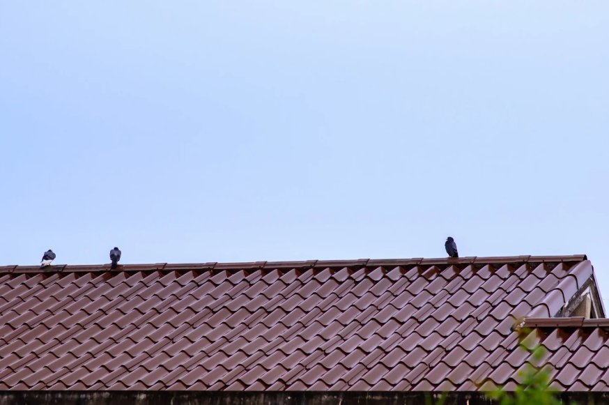 5 Things To Expect During A Roofing Project In Tulsa, OK