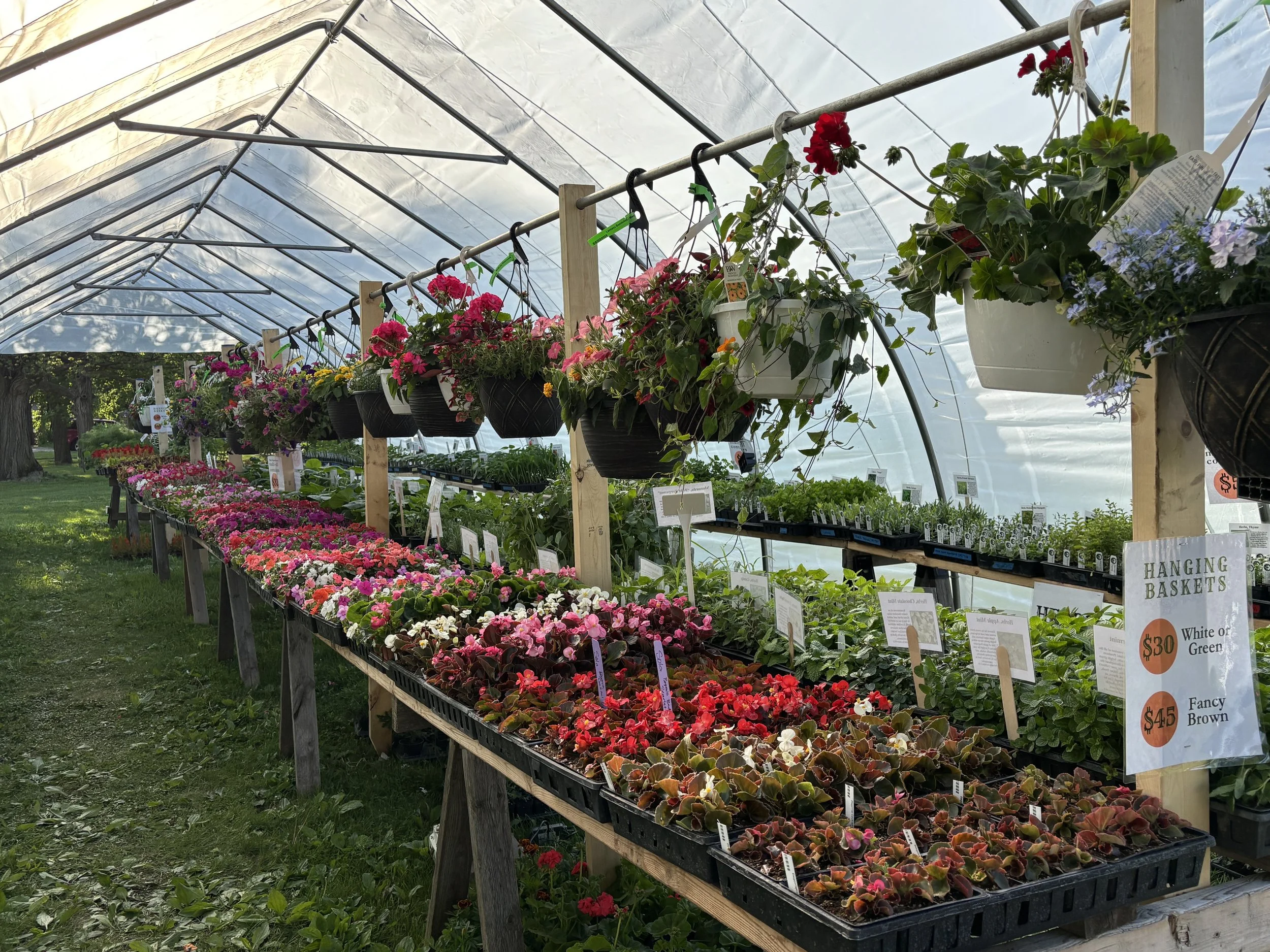 Spring Plant Sale - Save the Date!