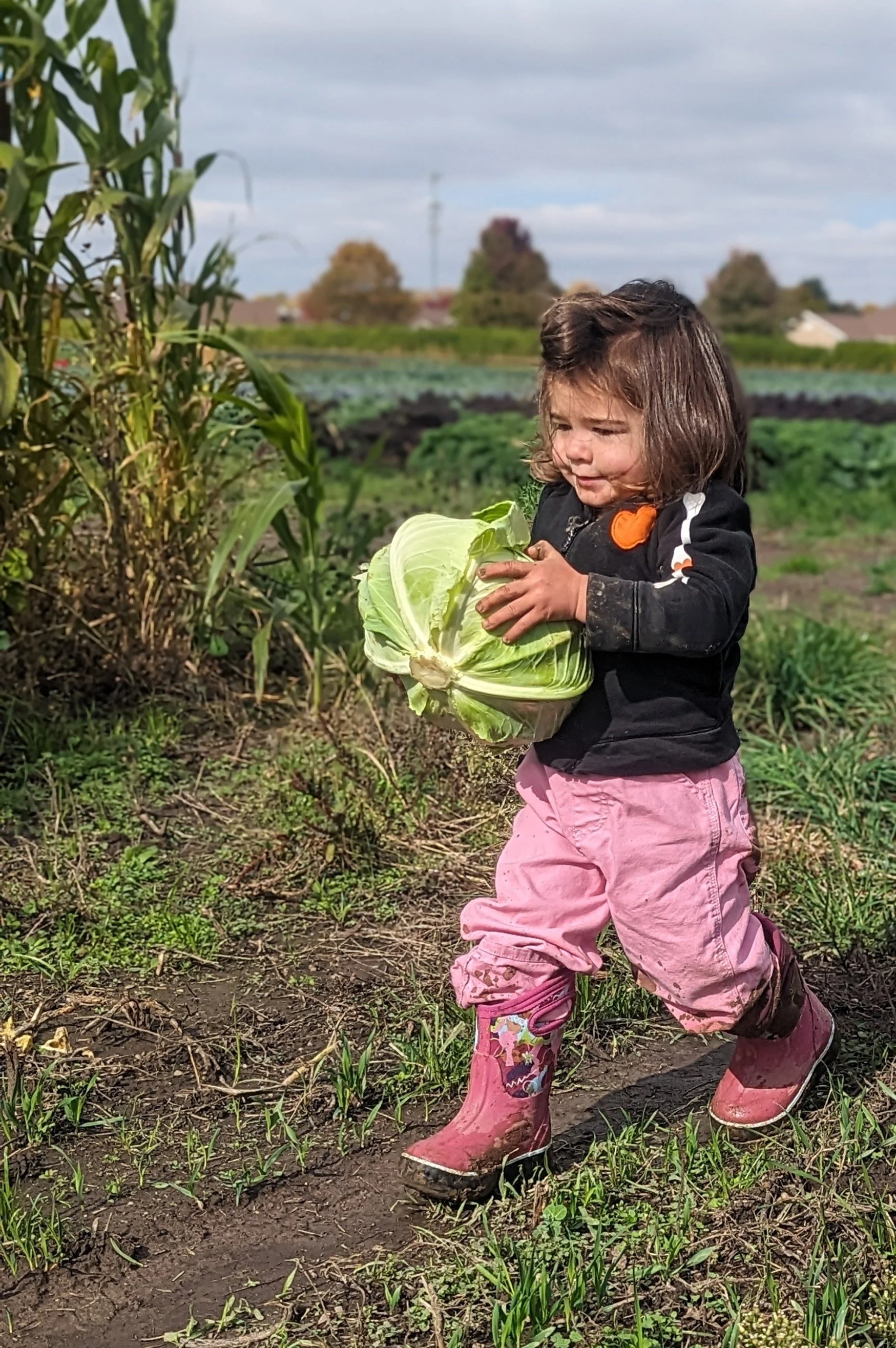 September Play Date at The Community Classroom!