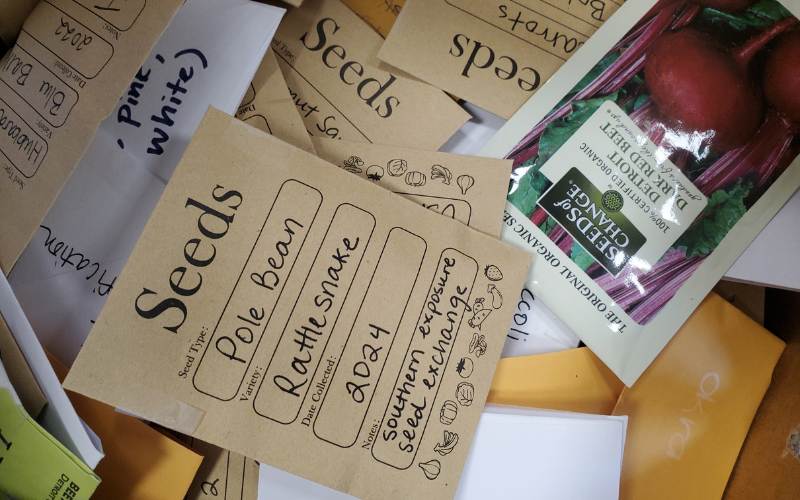 Seed Saving: Grow More Good Workshop Series 6 of 6