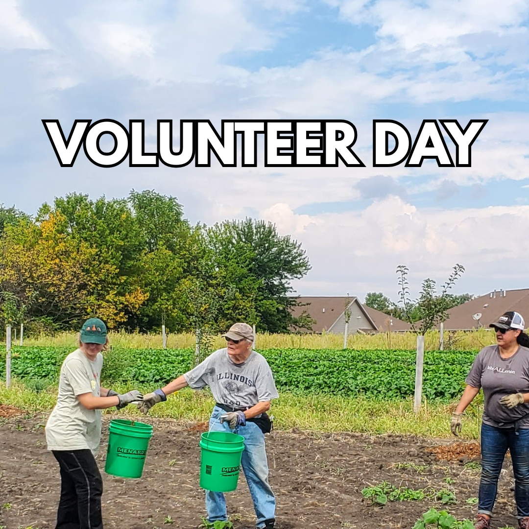 Friday Volunteer Workday 