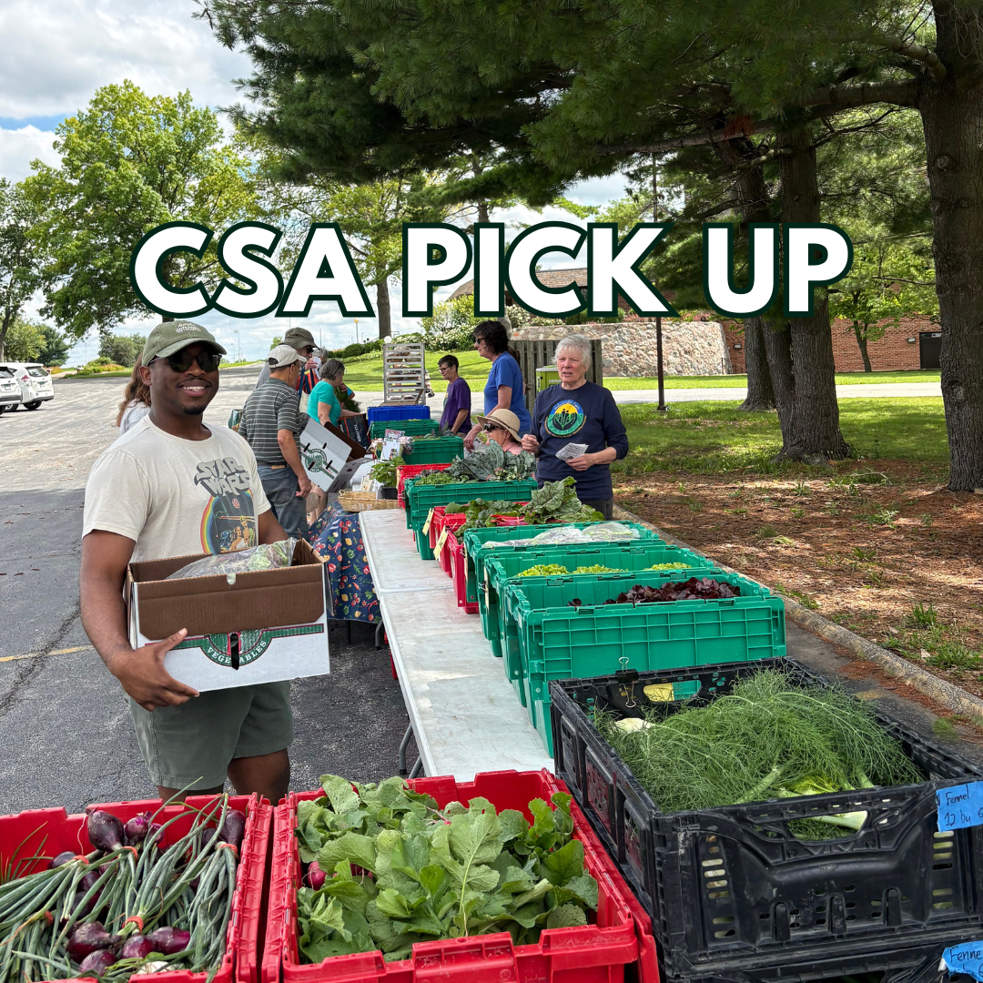 CSA Share Pick Up 