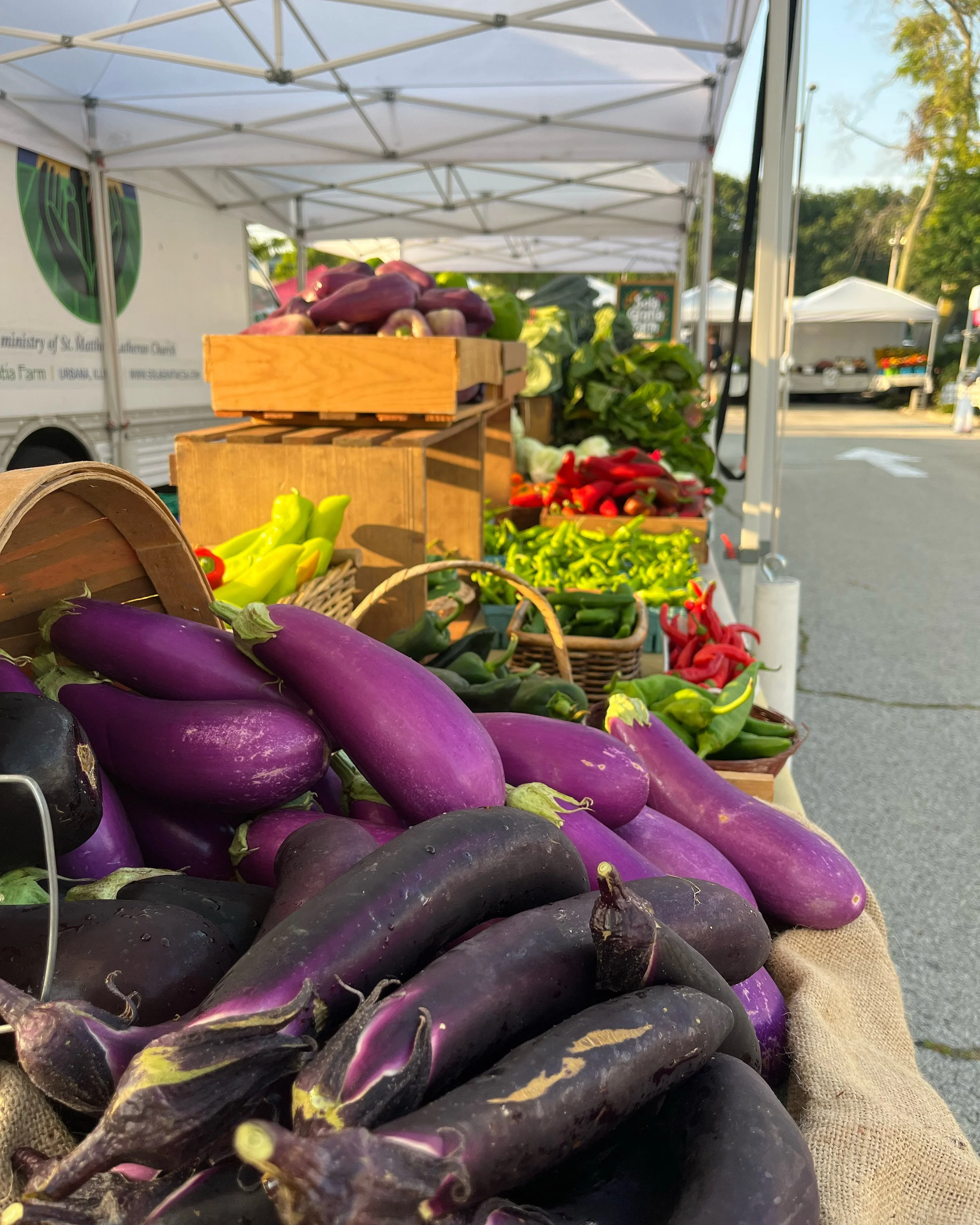 Week 10 Farmers Market (no box photo available)