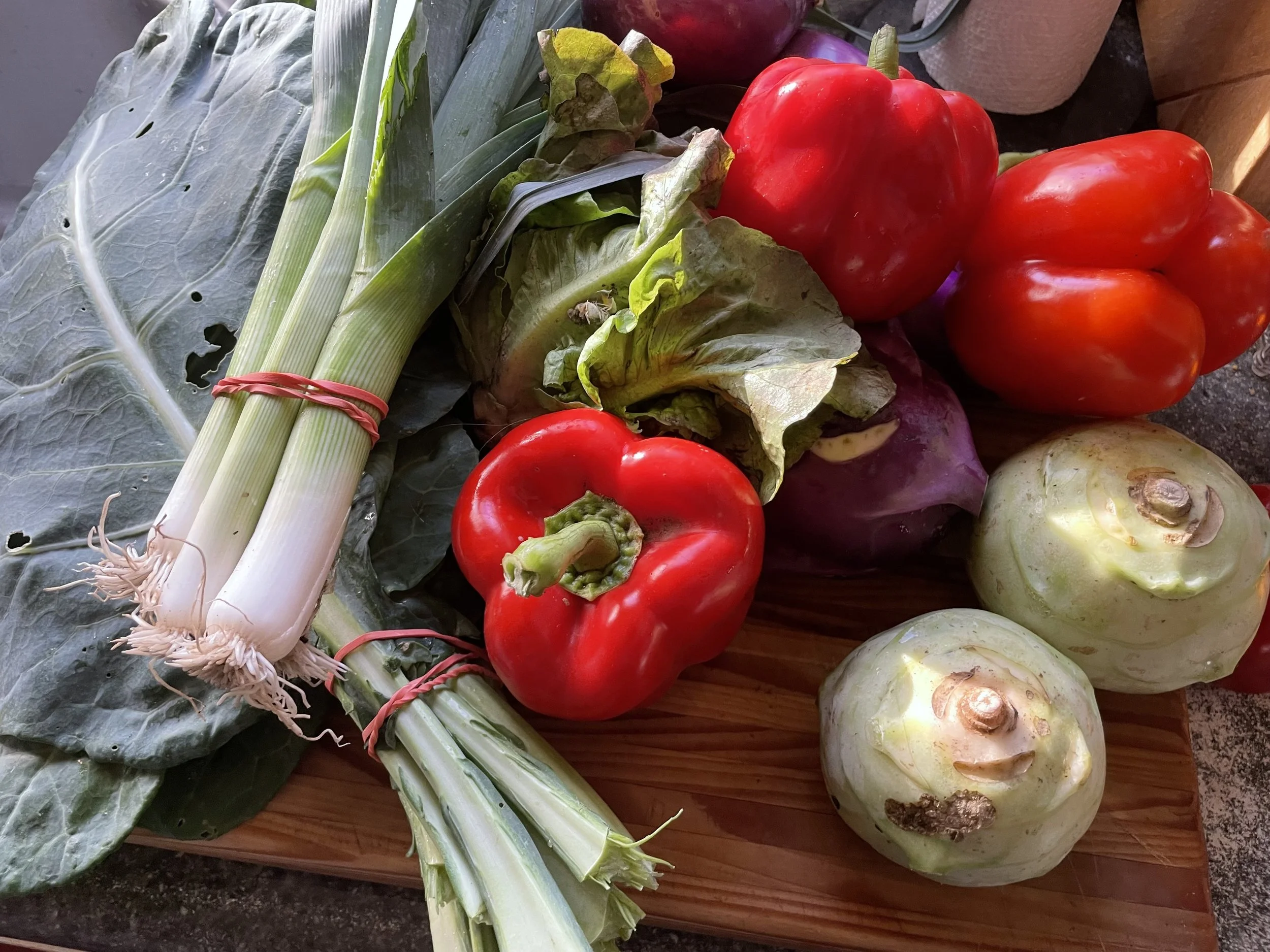 2024 Fall CSA Week 1 