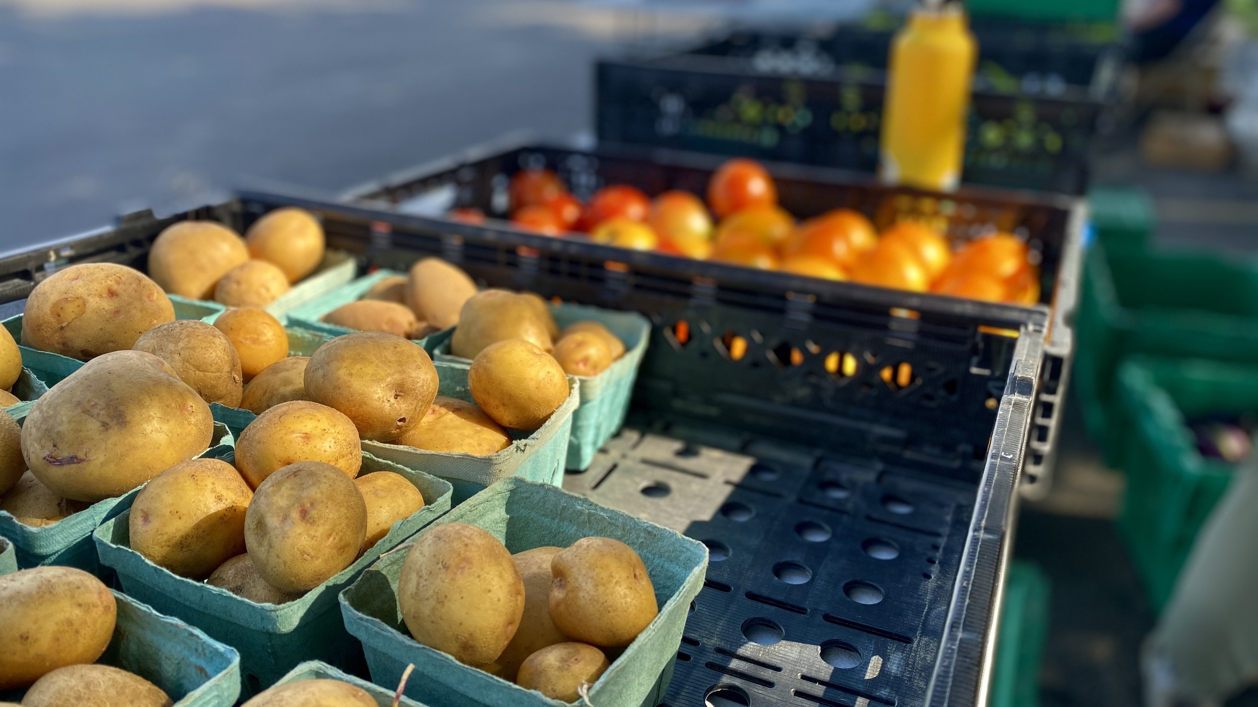 Week 11 (no box photo available)