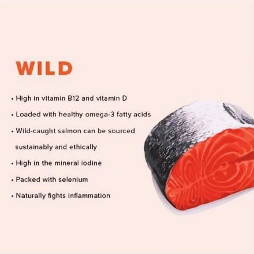 Wild-caught salmon are excellent sources of high-quality protein, essential omega-3 fatty acids, and vital nutrients that support heart and brain function. Unlike farmed varieties, wild fish tend to have lower levels of contaminants and more natural 