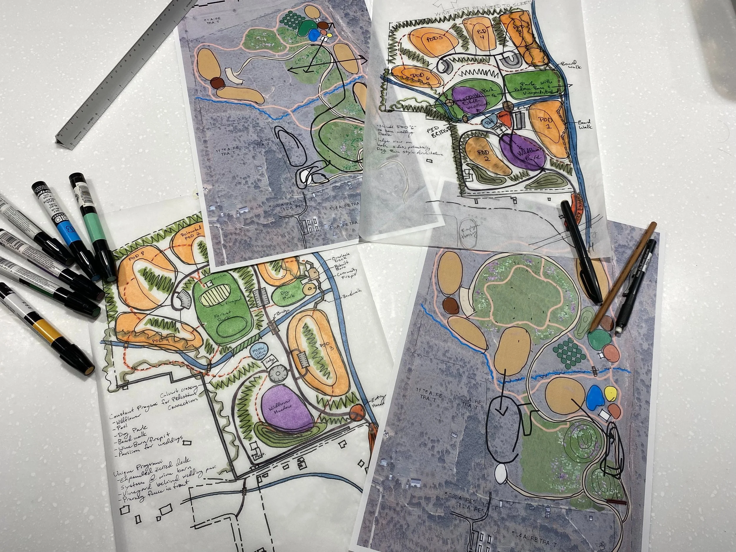 Terramor drawings.jpg