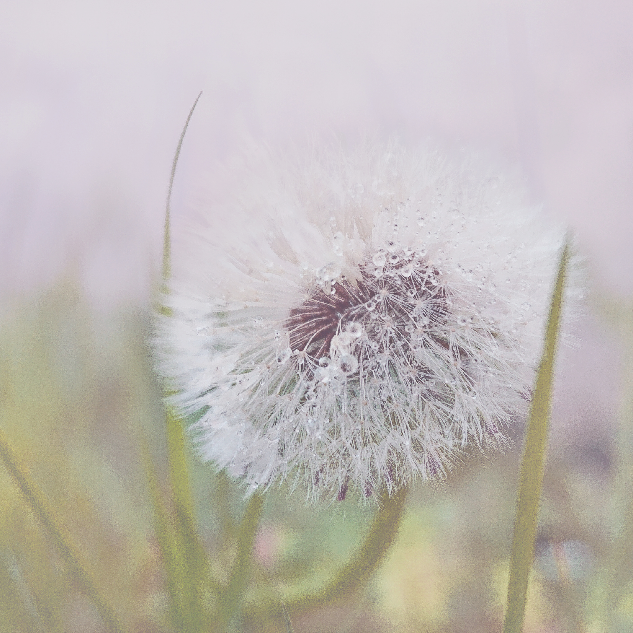 DO YOU HAVE ANXIETY ABOUT THE ASTROLOGY?