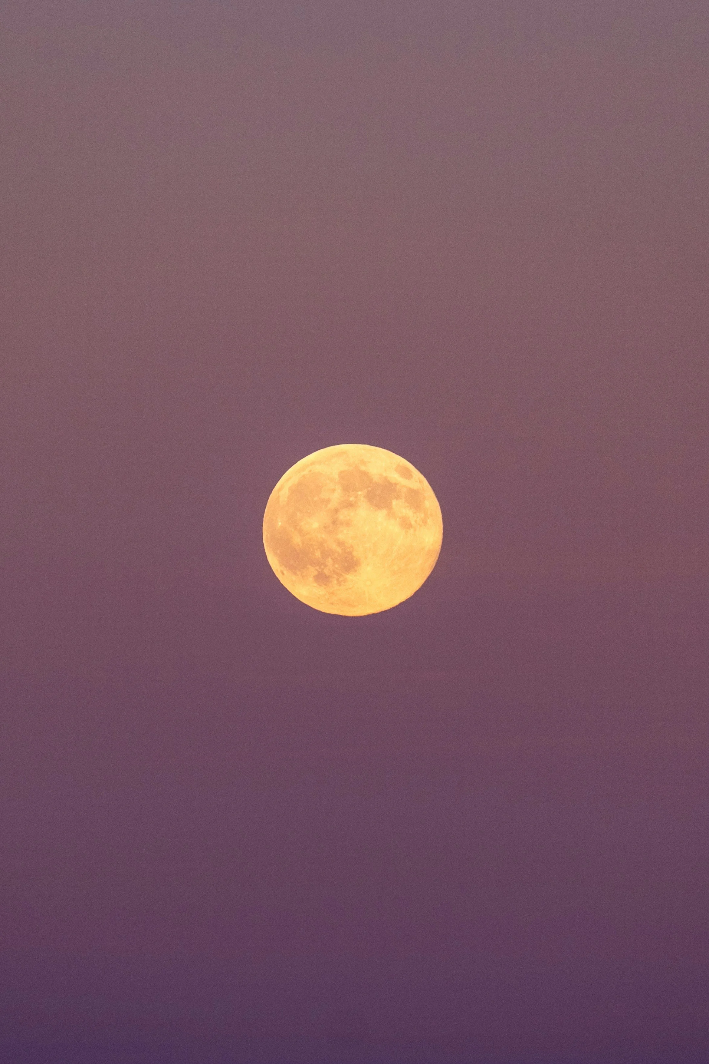 MOON IN AQUARIUS AND LEO: SHINING IN YOUR UNIQUE WAY