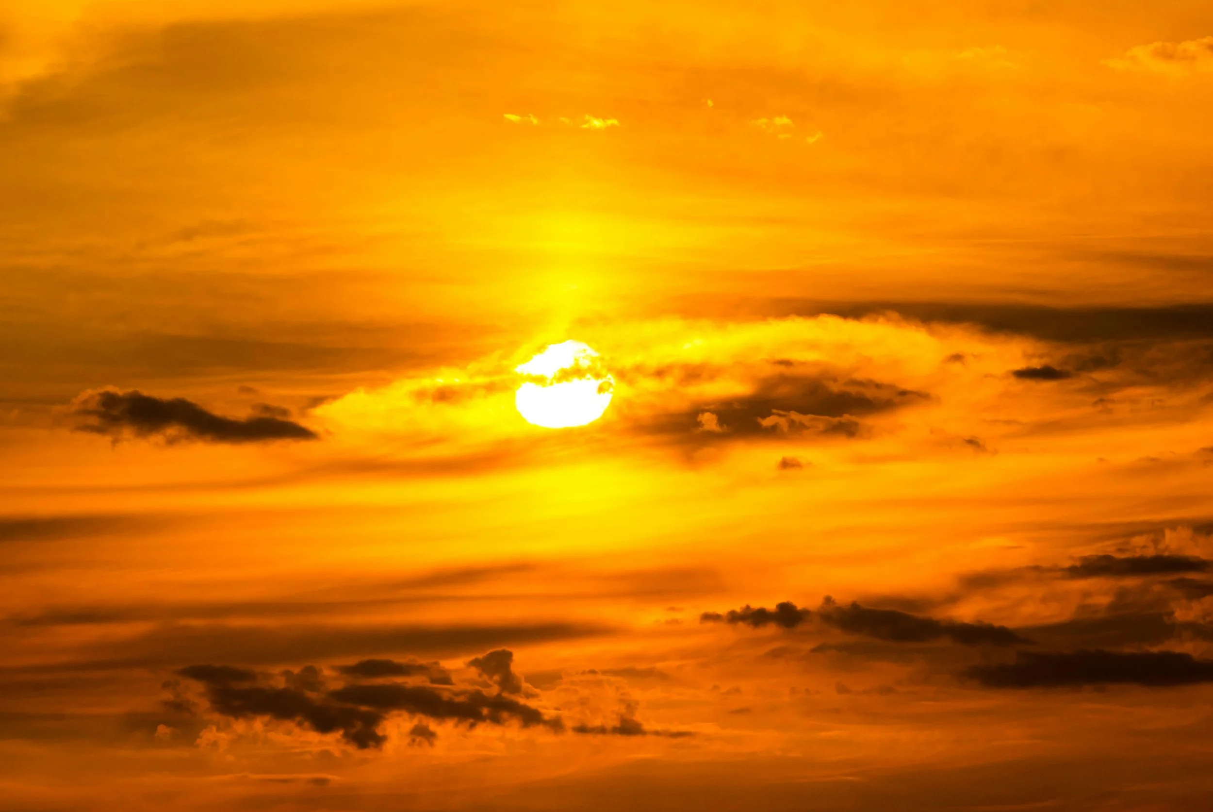 JUPITER IN LEO: POWER, BOLD EXPRESSIONS, SPIRITUAL &amp; INTELLECTUAL GROWTH