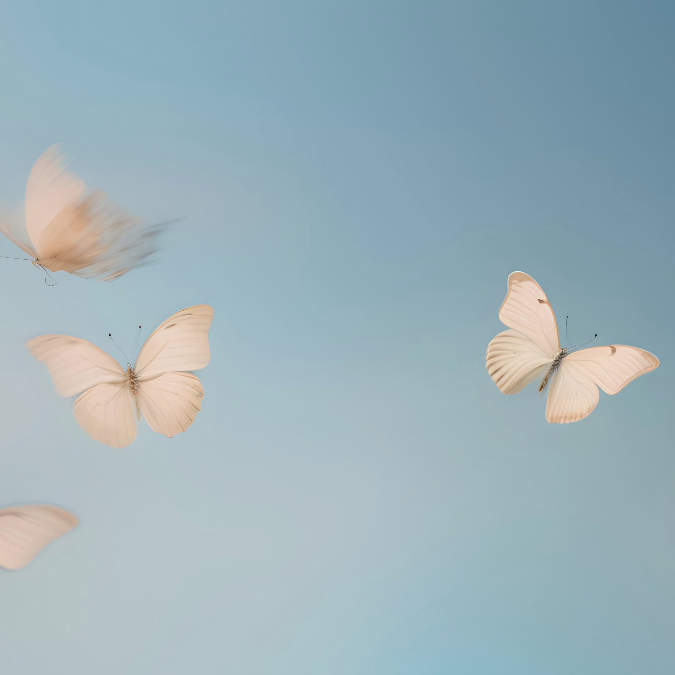 DO YOU FEEL LIKE YOU’RE ENTERING A NEW CHAPTER OR BOOK OF YOUR LIFE?