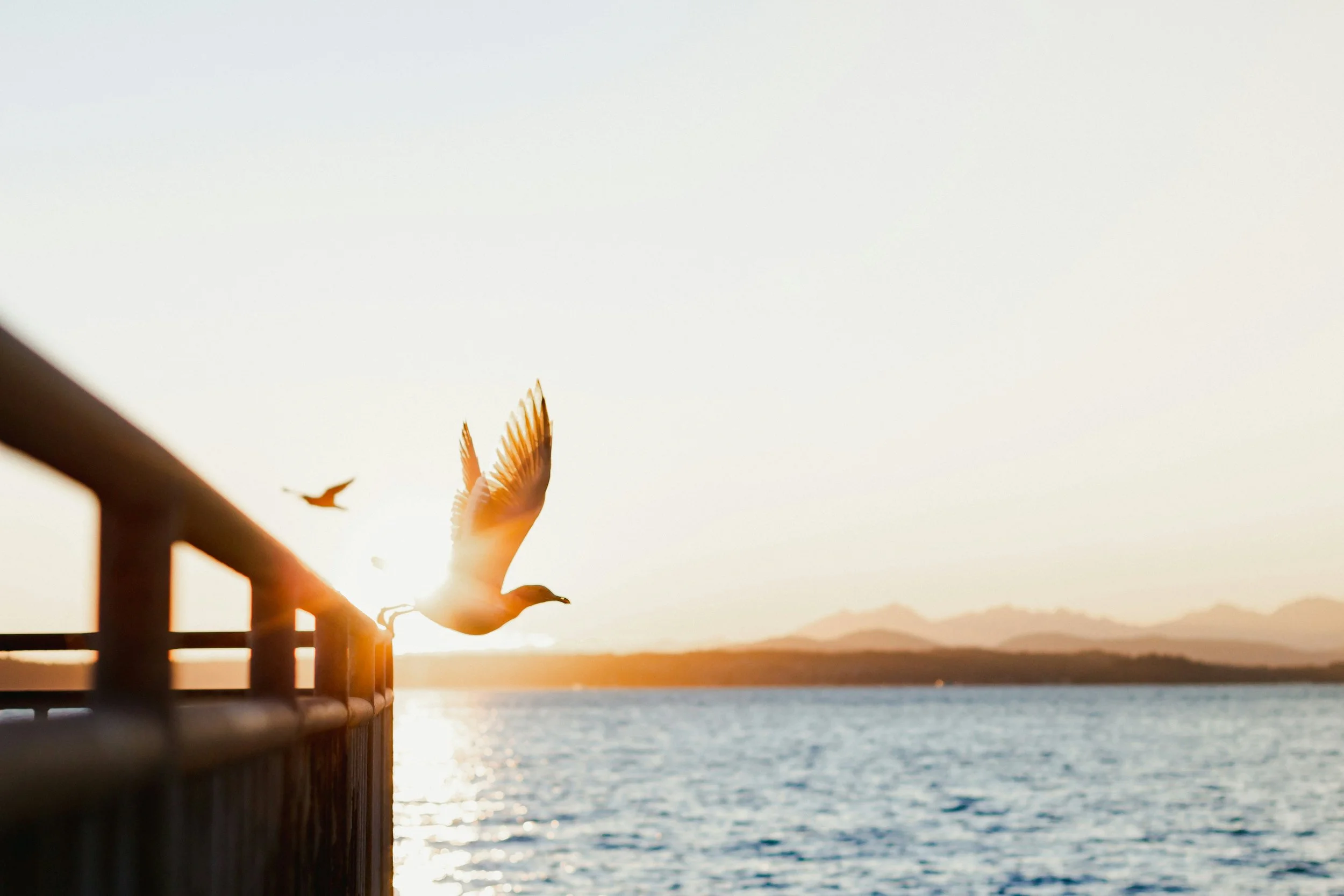 LIBERATING MESSAGES OF SATURN IN ARIES AND URANUS IN GEMINI 