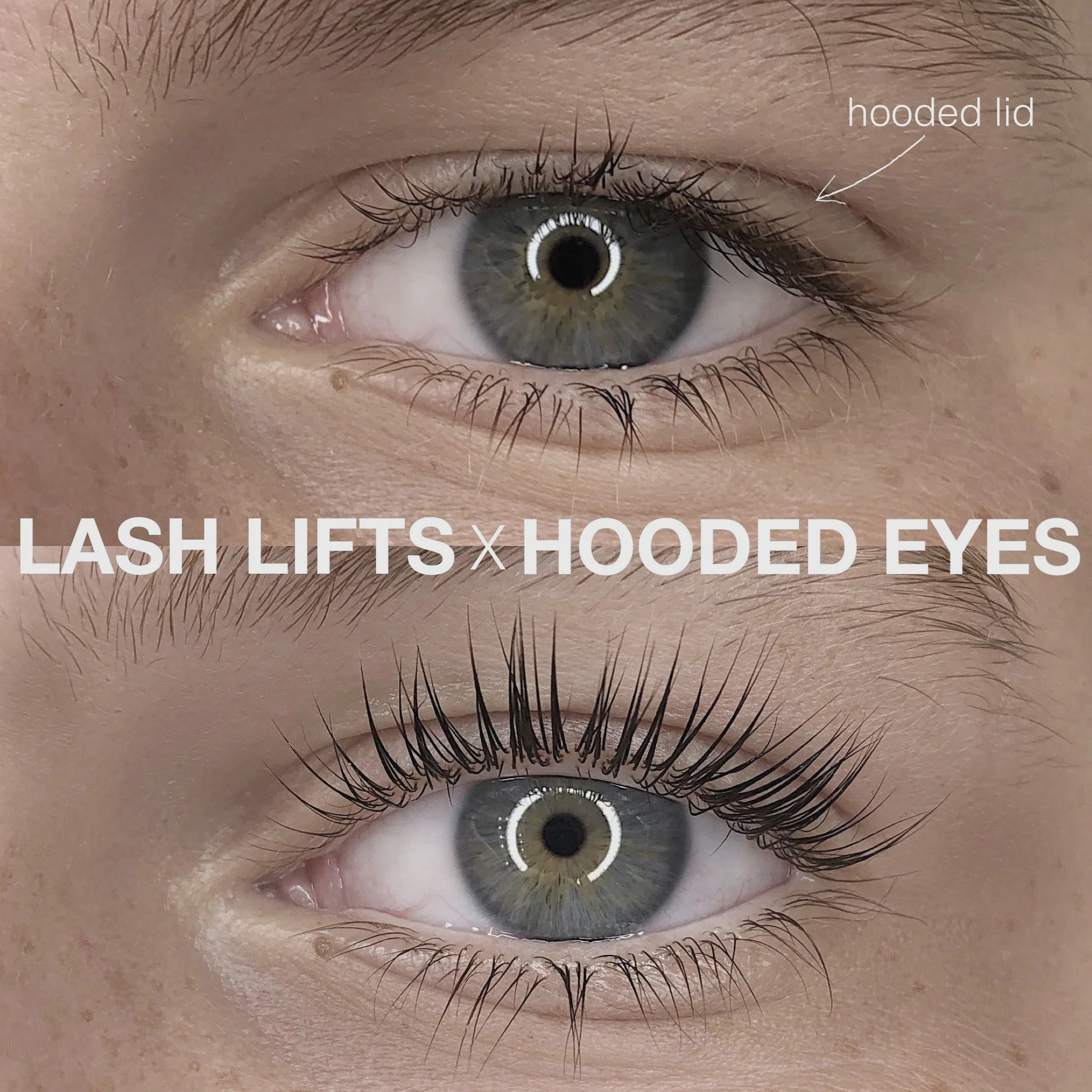 mhlc hooded.jpg