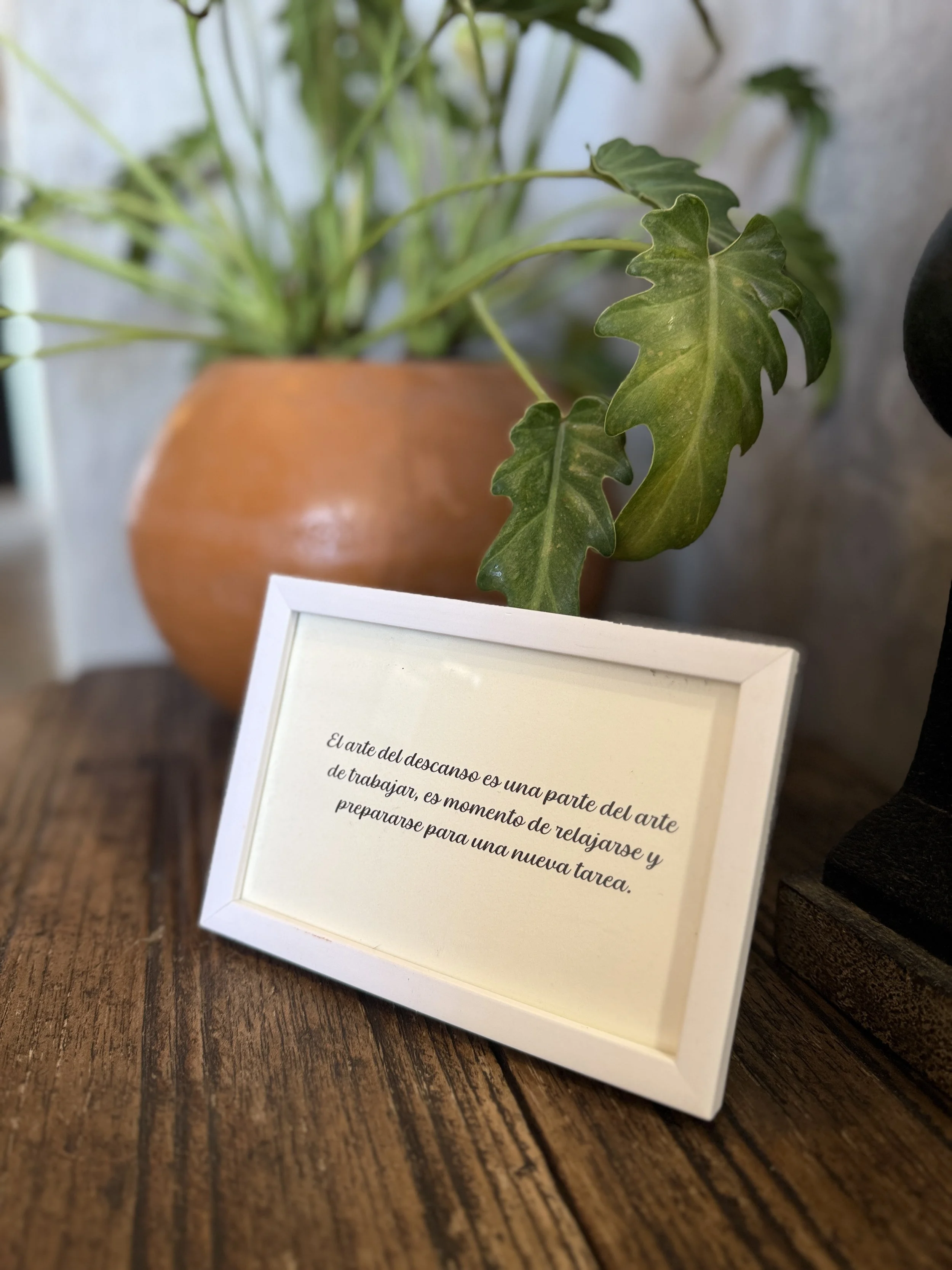 A small white frame with a quote in Spanish leaning against a wooden surface, with a potted plant in the background.