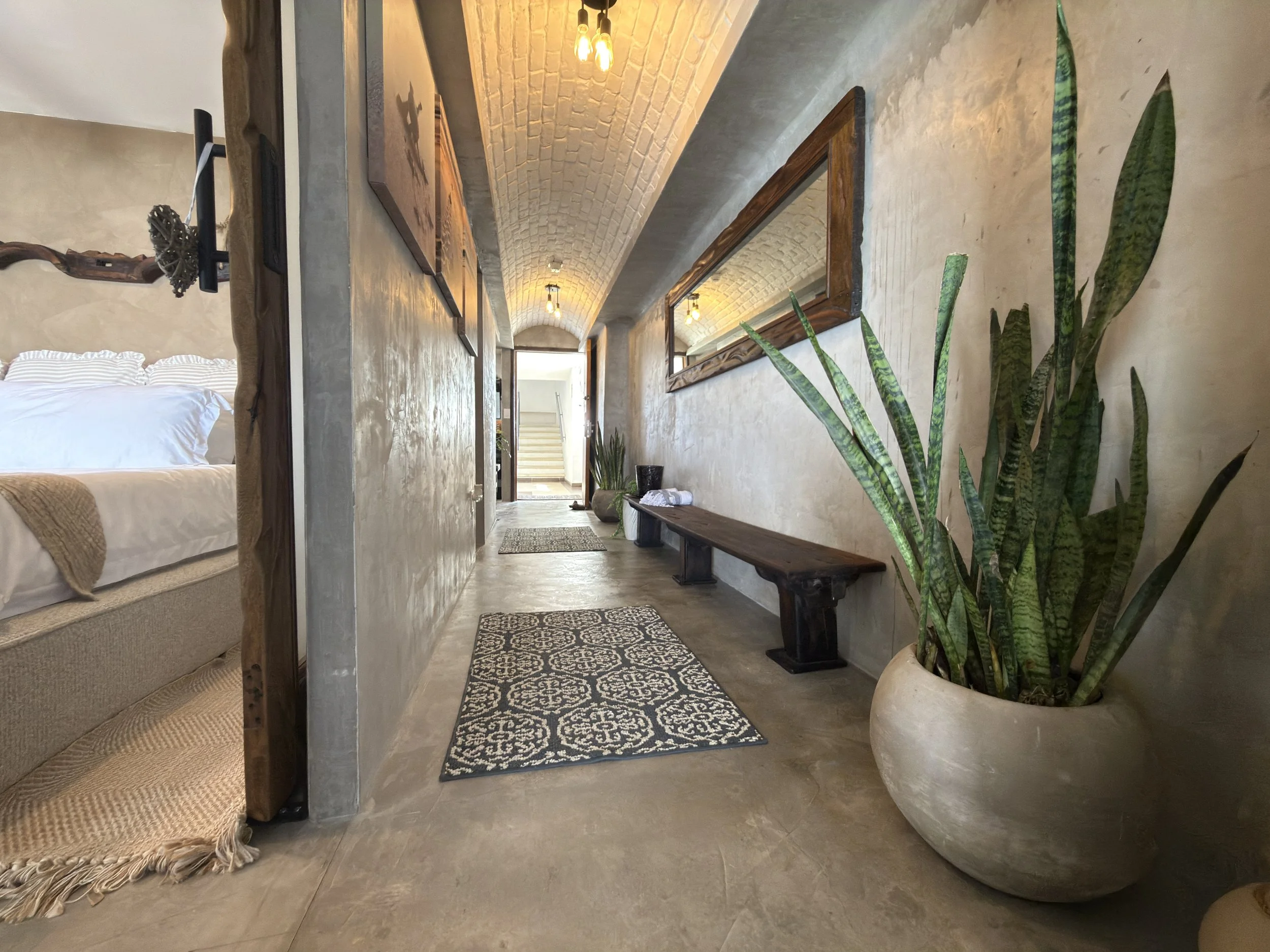 Indoor hallway in a rustic style with a large potted snake plant on the right, a wooden bench and mirror on the right wall, and a bed partially visible through an open doorway on the left. The hallway features a textured ceiling, exposed light bulbs,