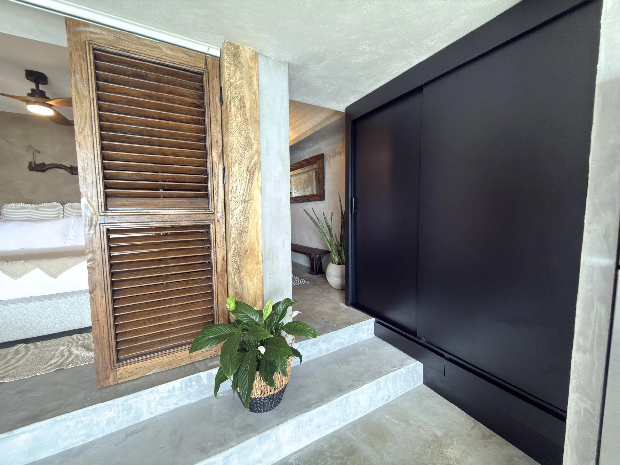 Interior view of a modern room with a wooden louvered cabinet, a large black sliding door, and several potted plants.