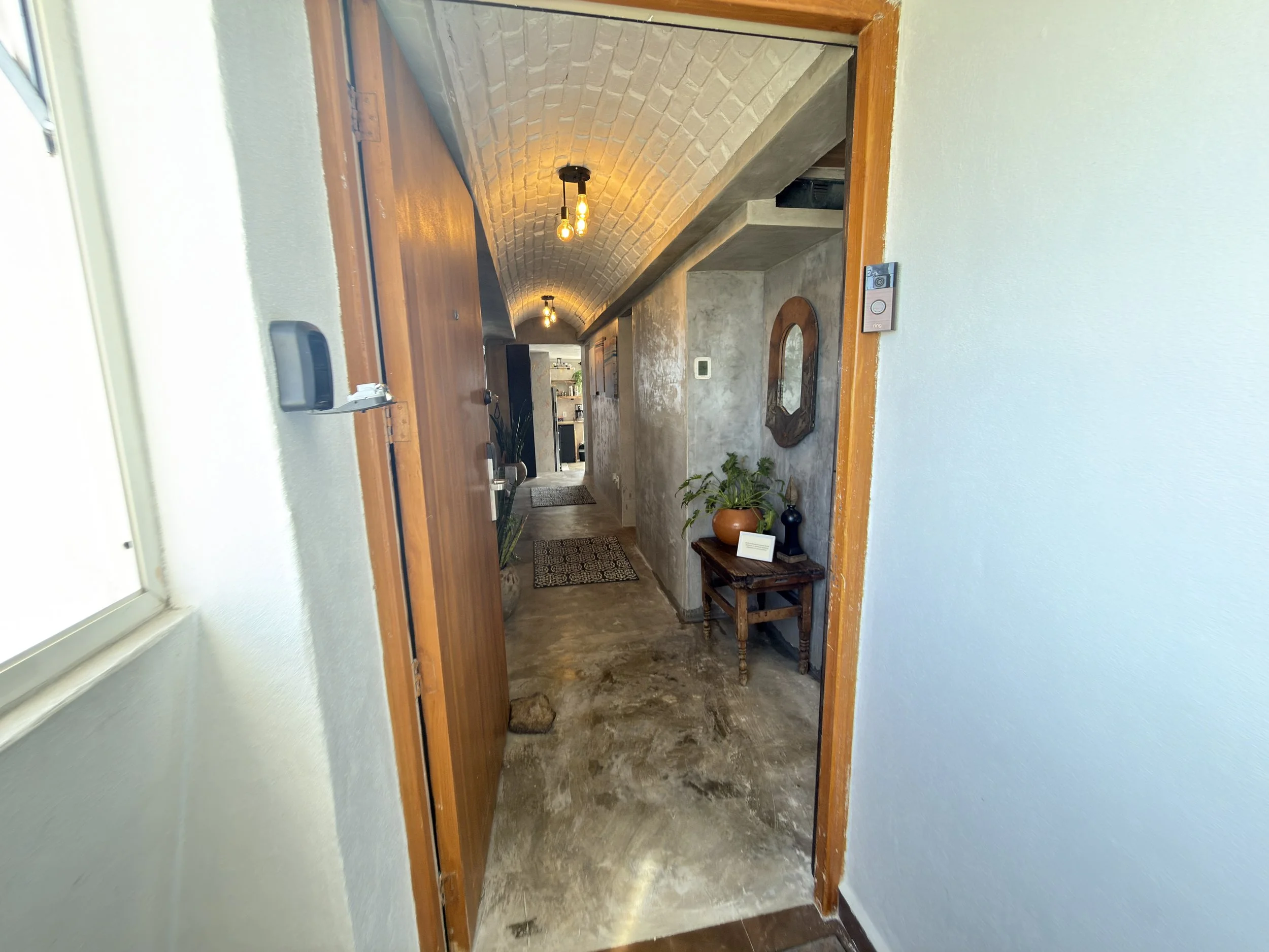 View of a hallway entrance with a wooden door, white walls, textured concrete walls, and decorative plants, rugs, and lighting.