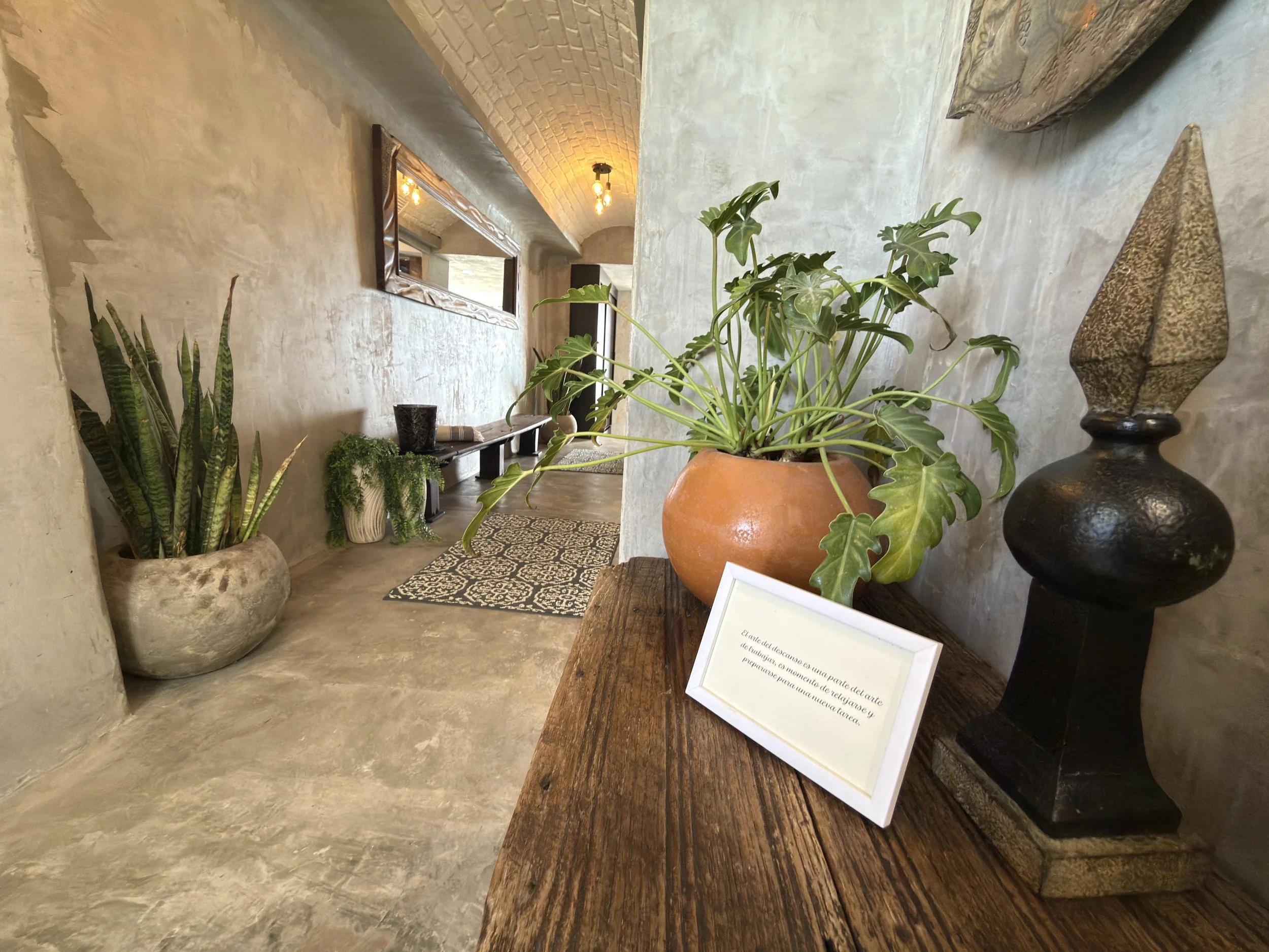 Indoor hallway with potted plants on a wooden table and in the corner, rustic textured walls and ceiling, a mirror on the wall, and a bench with a few decorative objects, illuminated by warm lighting.