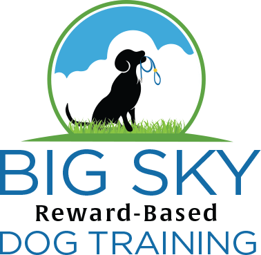 Big Sky Dog Training