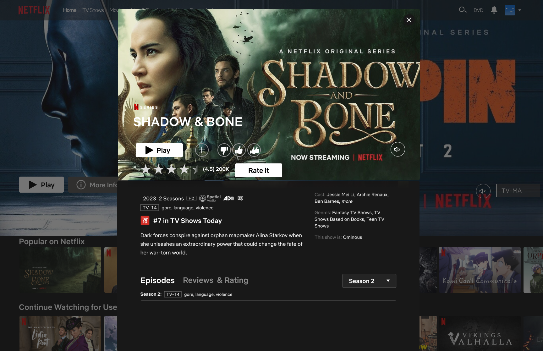Netflix Show 2.png
