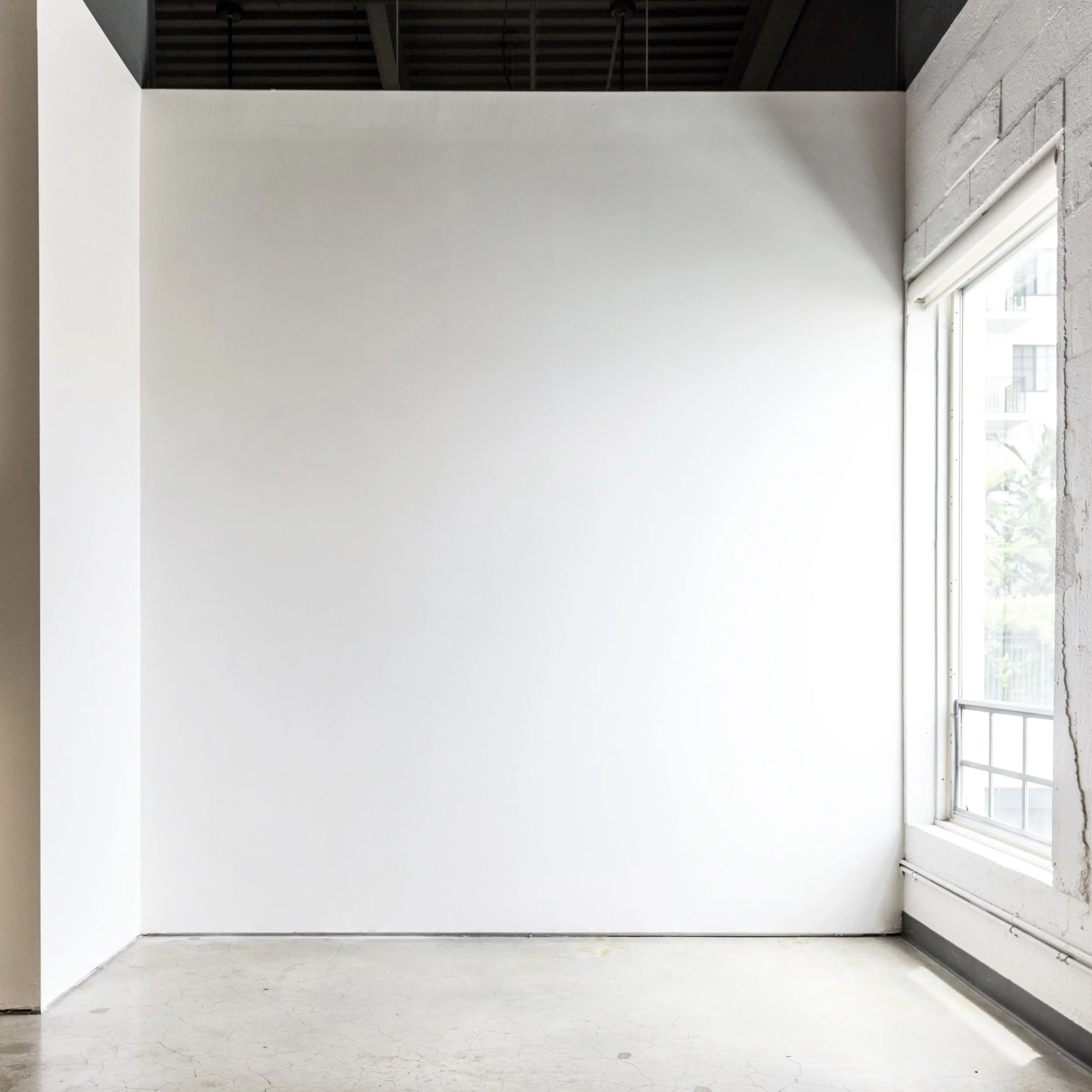 The window-lit white wall at Space WPB