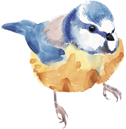 Watercolor Blue Tit Book Coaching