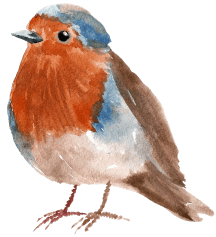 Watercolor illustration of a bird with orange, blue, and brown feathers.