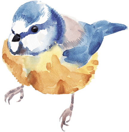 Watercolor painting of a blue and beige bird, likely a chickadee, perched on a surface.