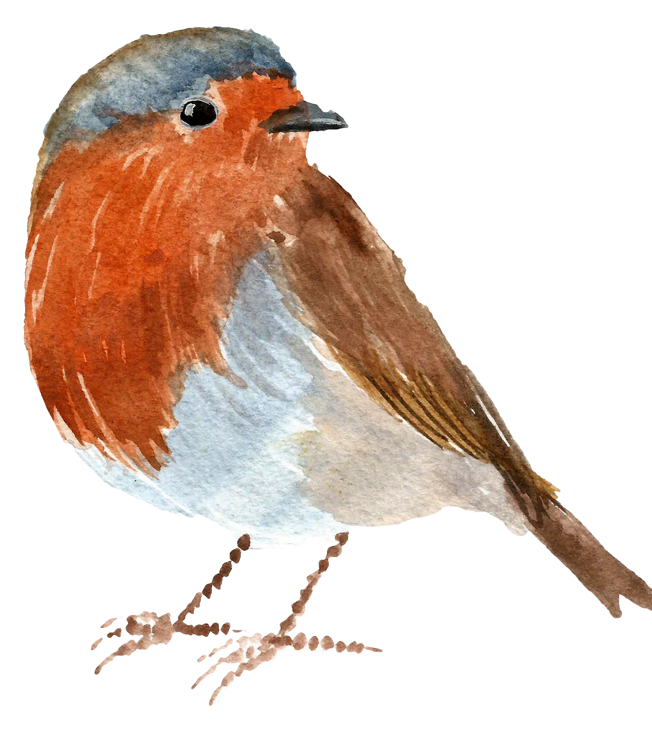 Watercolor painting of a robin bird with an orange breast, gray head, and a beak, standing on a branch with a blurred background.