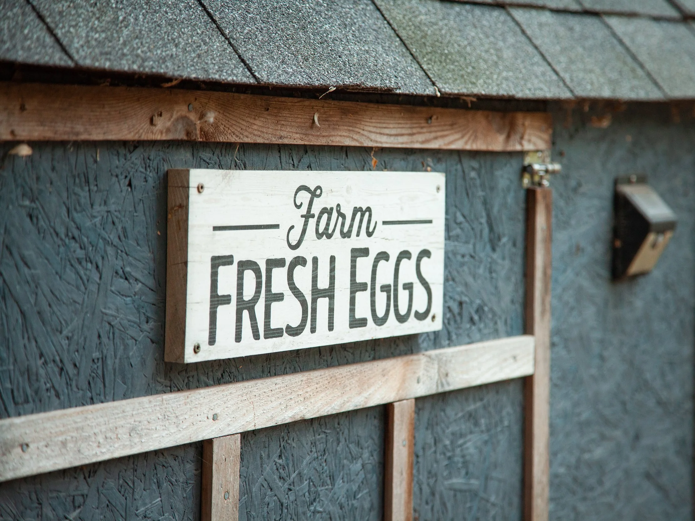 Bates Family Homestead Pastured Poultry Grazed Goat Farm Fresh
