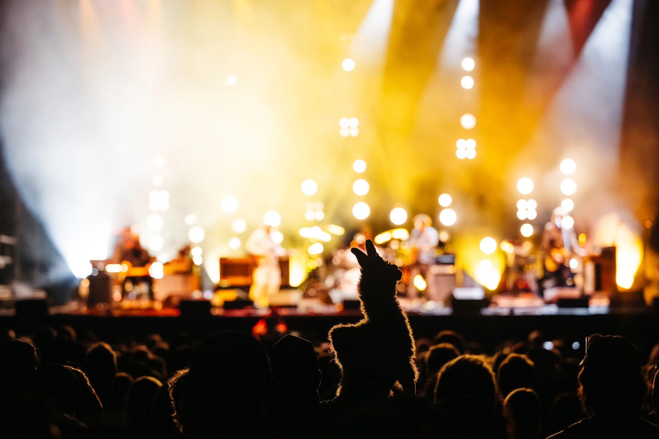06.27.26 Solid Sound Fest_1079.jpg