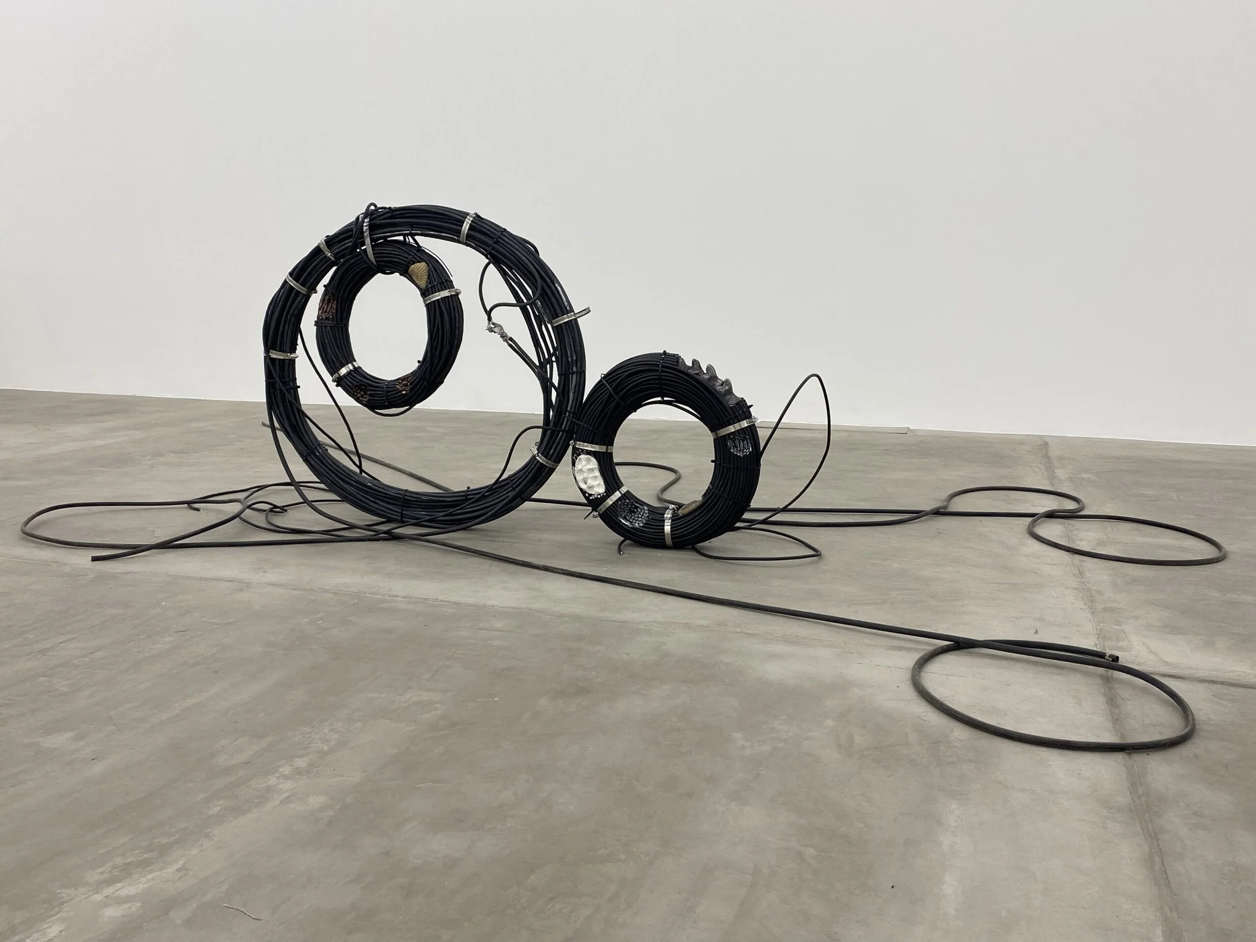 General installation view of “Fossil Visions,” a sculptural work made of carved electric and data cables with aluminium, copper and embedded fossils, exhibited at guadalajara90210 and curated by LAVA.
