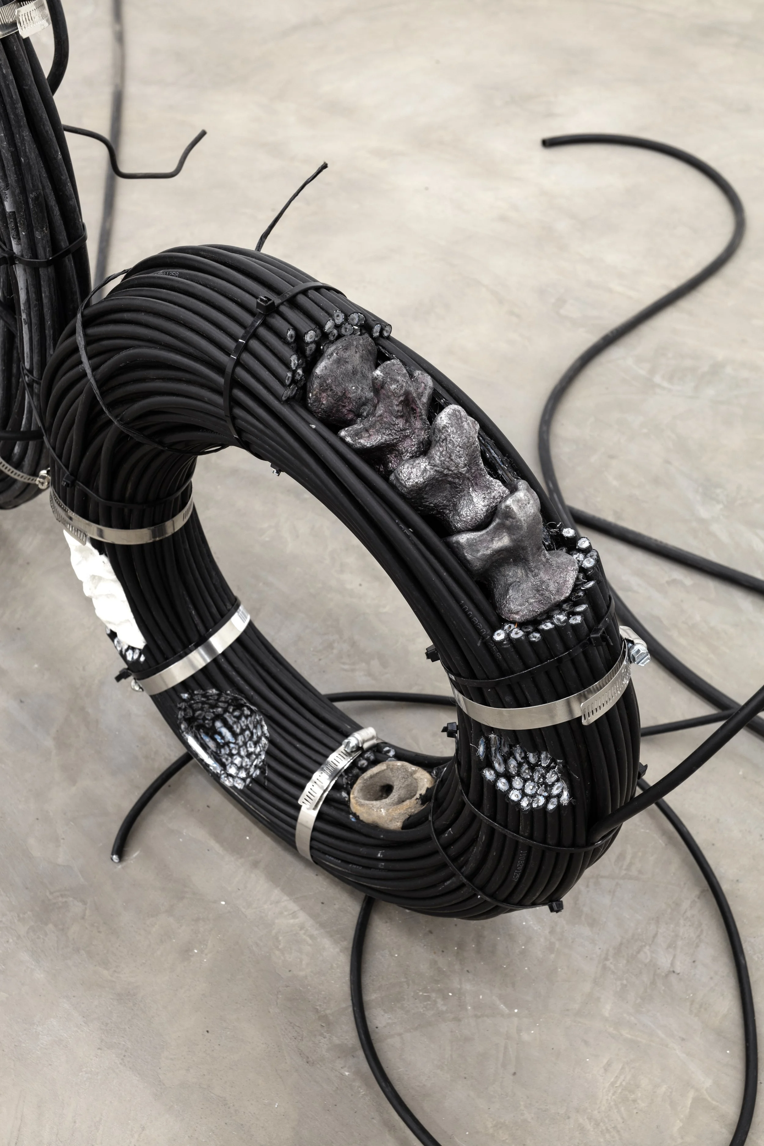 Detail of the aluminium vertebra-like structure emerging from the carved electrical cable coil in “Fossil Visions.”