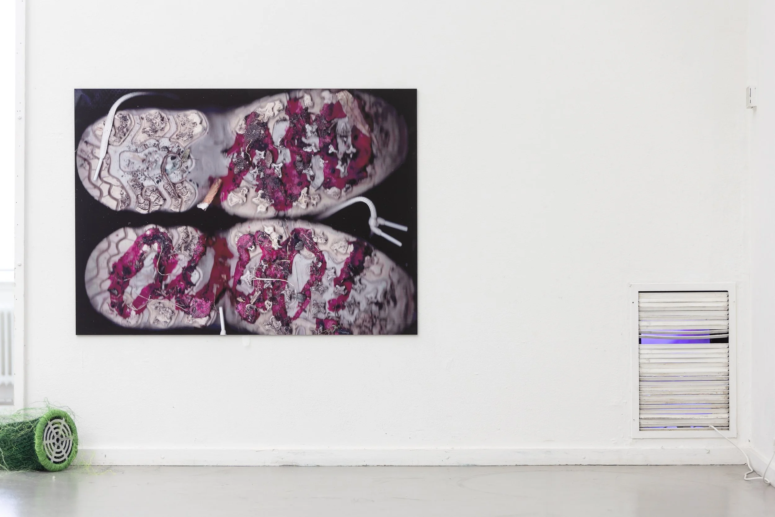 rodrigo red sandoval, guadalajara90210, jack barret gallery, deli gallery, cca, liverpool biennial, jan van eyck academie, w139, conteporary art, bologna.cc, mutteramsterdam, glasgow school of art, somers galley, punt wg, Institute for contemporary a