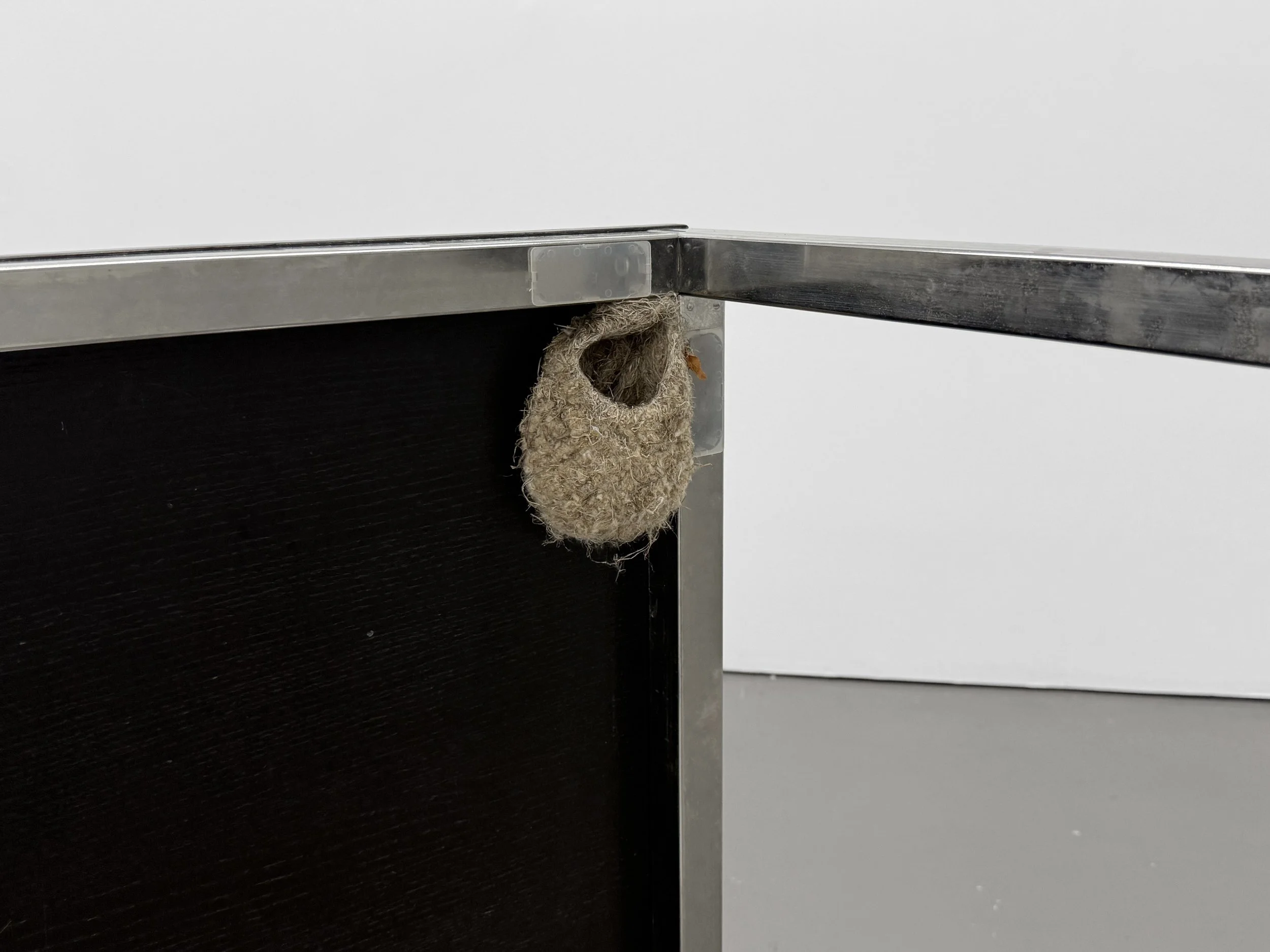 Close-up view of the bird nest integrated into the metal frame of the sculpture “Three Views from a Nest.”