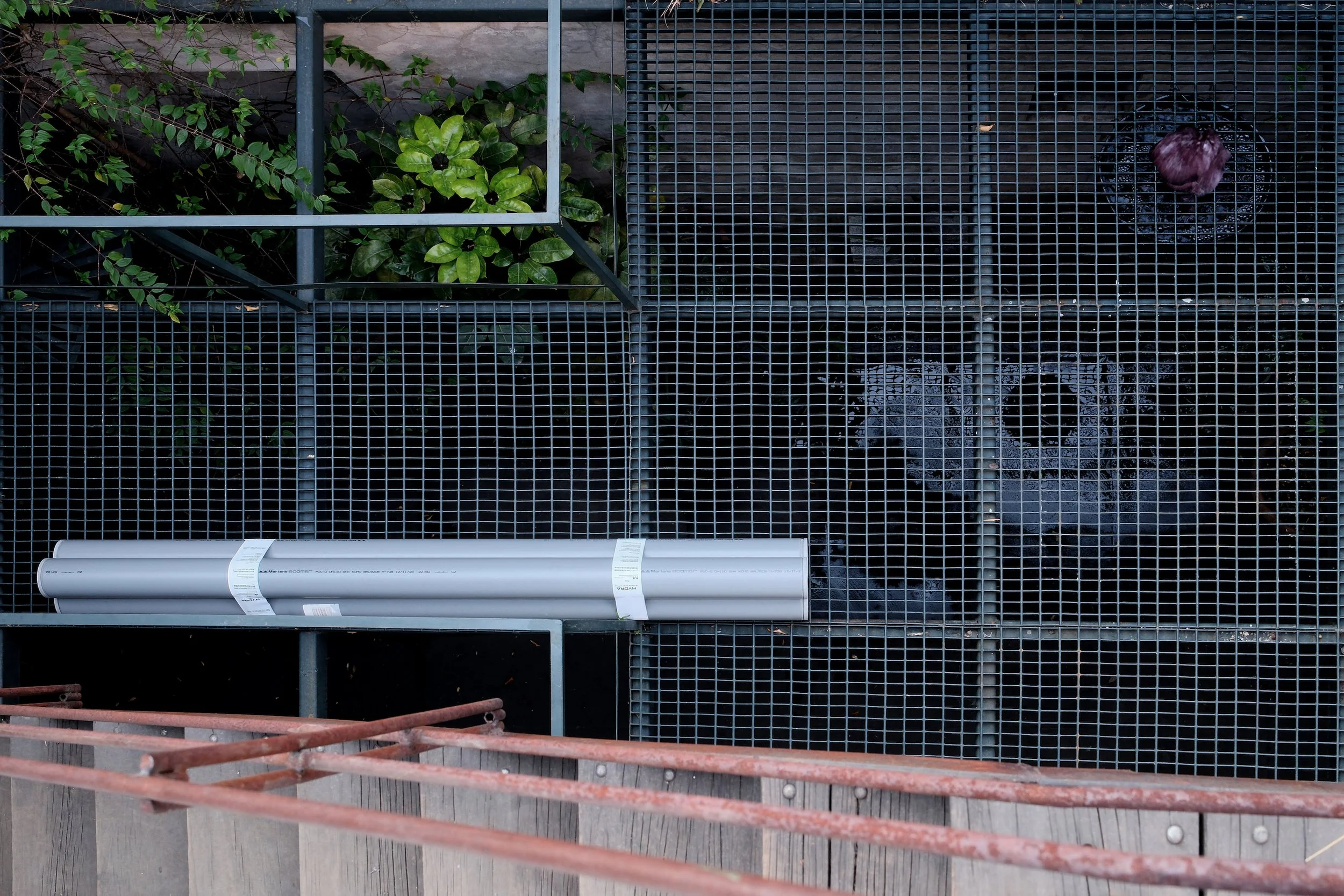 Rodrigo Red Sandoval Hydra large scale installation at Croma during Art Week