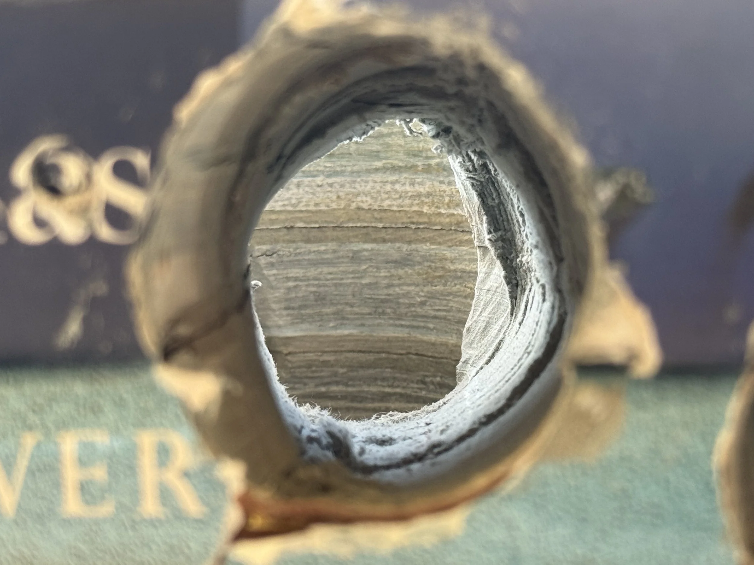 Inner tunnel detail of “Sightless Worm”, exposing layered paper strata. Plast, Leipzig.