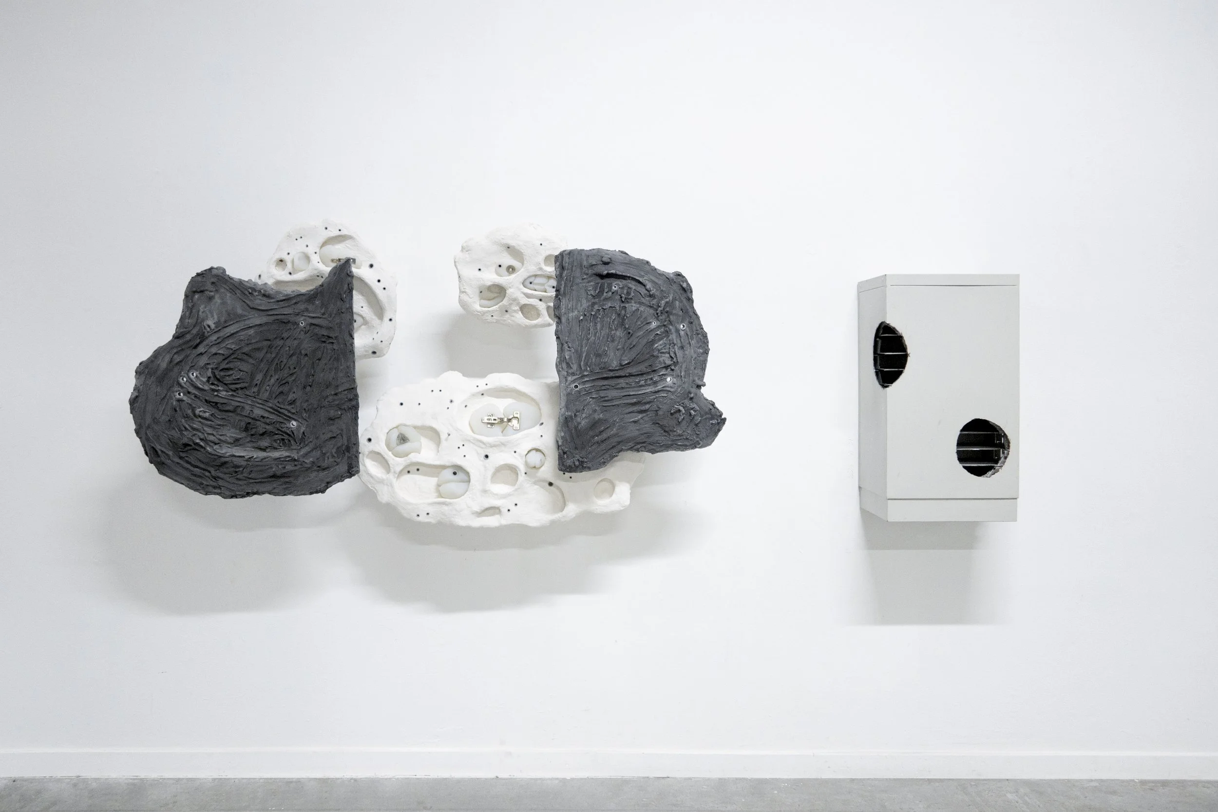 Installation view of “Cabinet,” a wall-mounted sculpture made of wall plugs, plaster, silicone and metal hinges, exhibited at Loods 6 in Amsterdam.
