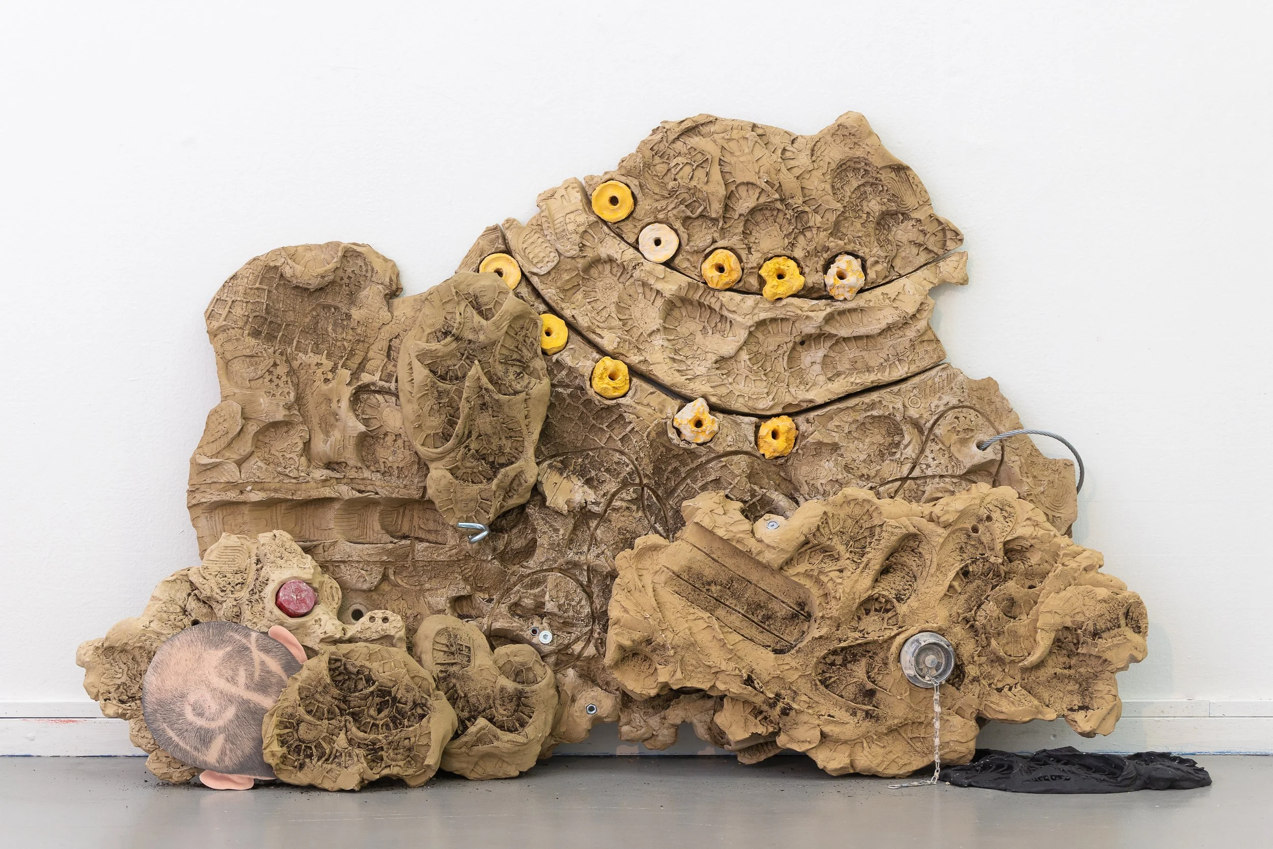 rodrigo red sandoval, guadalajara90210, jack barret gallery, deli gallery, cca, liverpool biennial, jan van eyck academie, w139, conteporary art, bologna.cc, mutteramsterdam, glasgow school of art, somers galley, punt wg, Institute for contemporary a