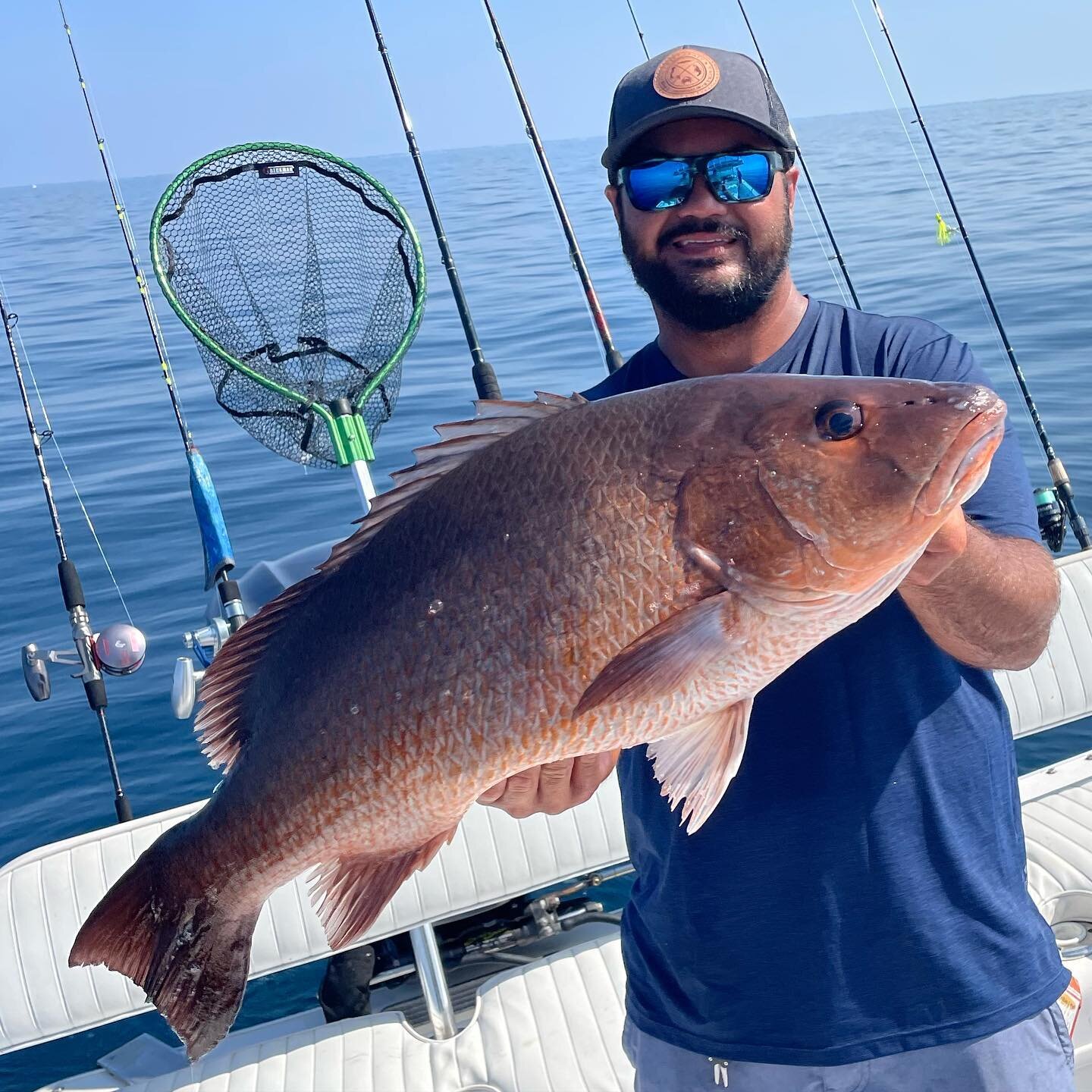 Monster 30&rdquo; Mangrove snapper we caught today.  It&rsquo;s leading the boat house summer slam tournament weighing in at 12lb a gutted.