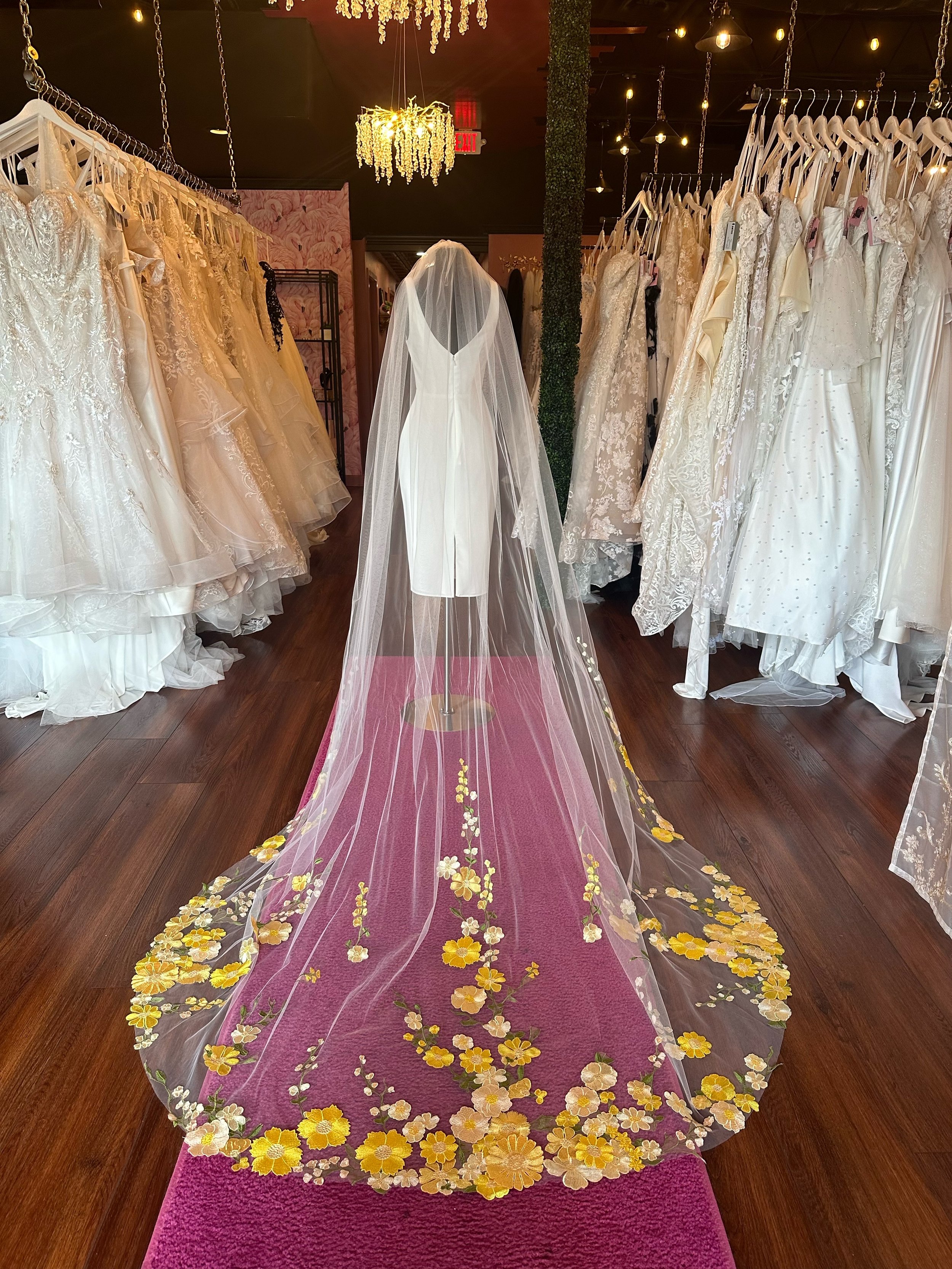 Emma's Veil